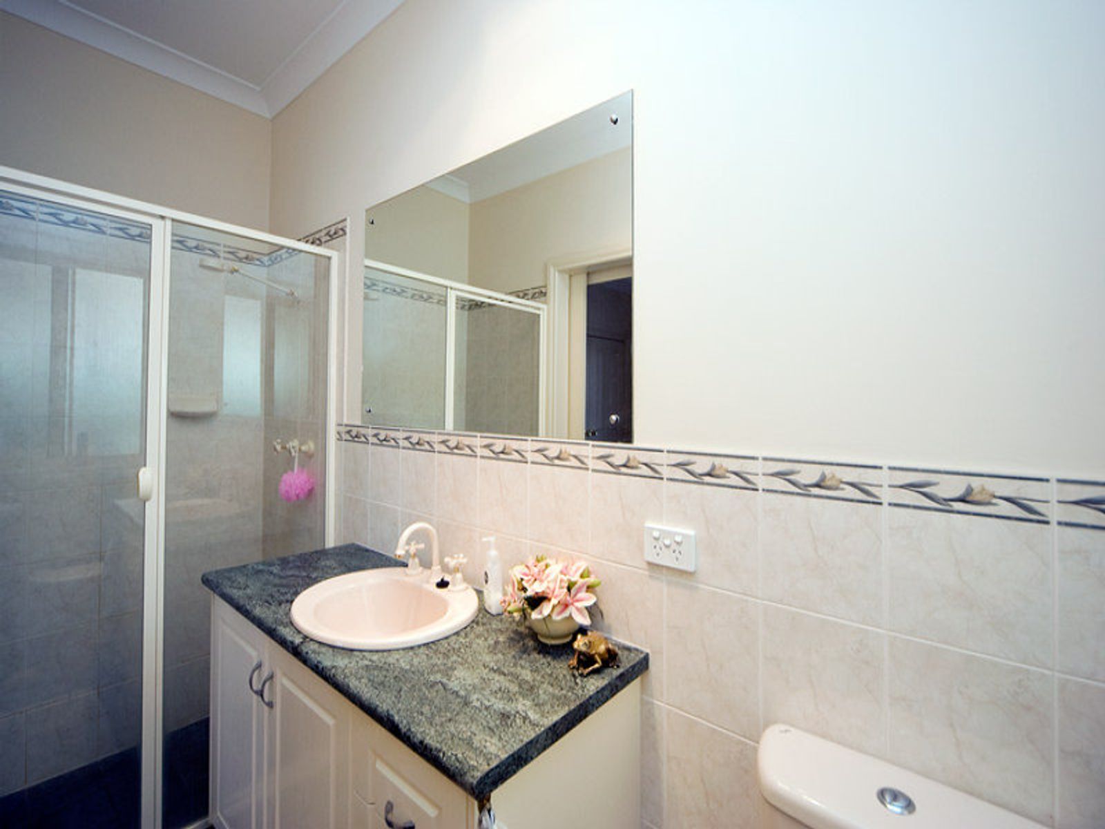 2 Jackson Street, Mawson Lakes, SA 5095, Mawson Lakes - Thumbnail 3