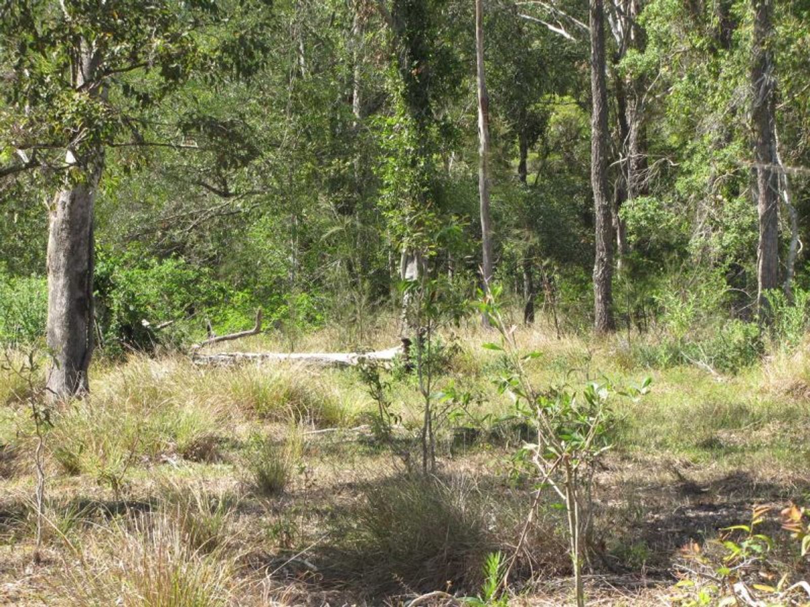 Fogwells Rd NSW 2470, Fogwells Rd - Thumbnail 7