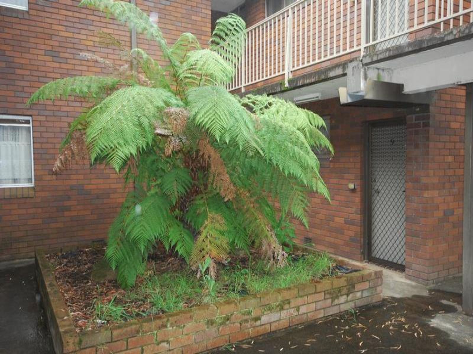 Werrington NSW 2747, Werrington - Thumbnail 2