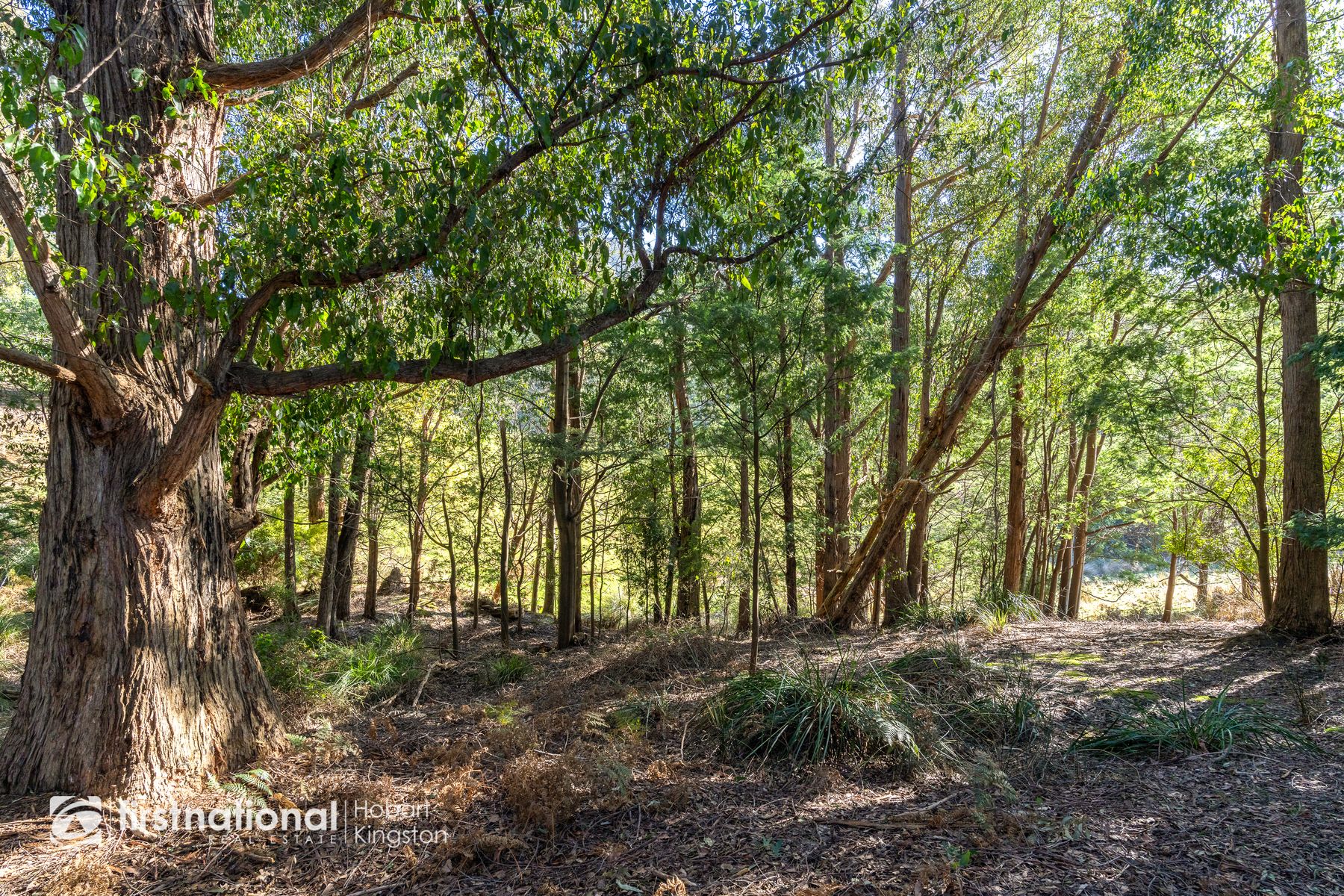 195 Saddle Road, Kettering TAS 7155, Kettering - Thumbnail 8