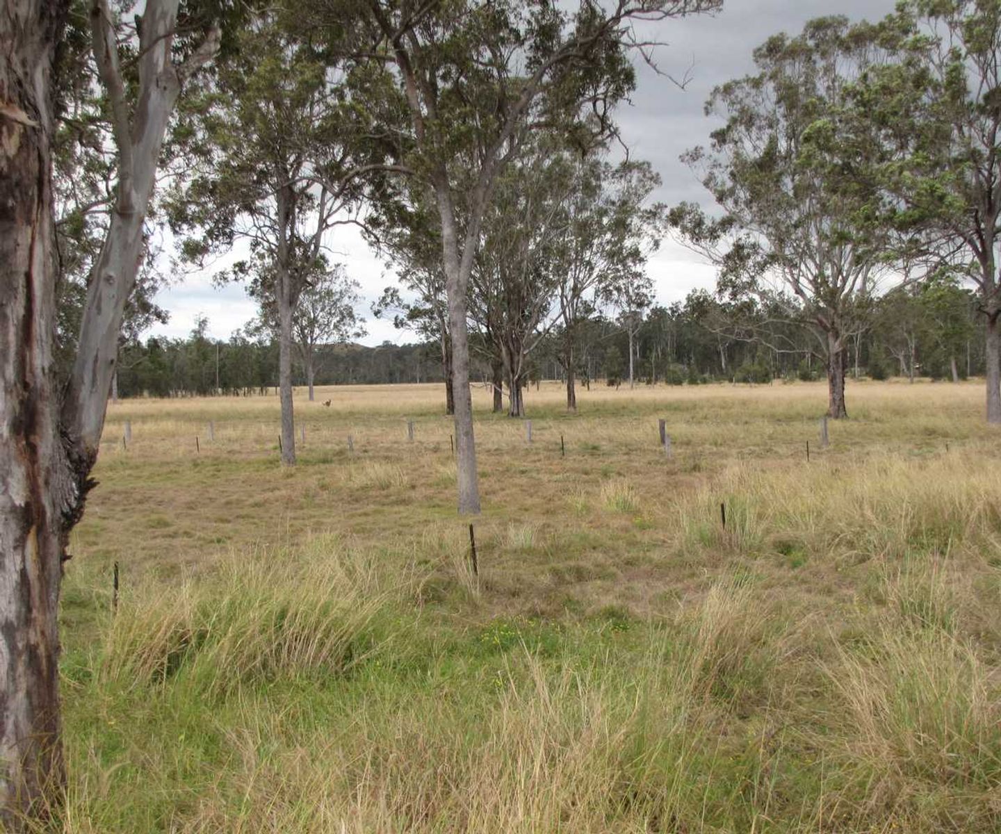 9155 Summerland Way, Leeville, NSW 2470, Leeville - Thumbnail 4