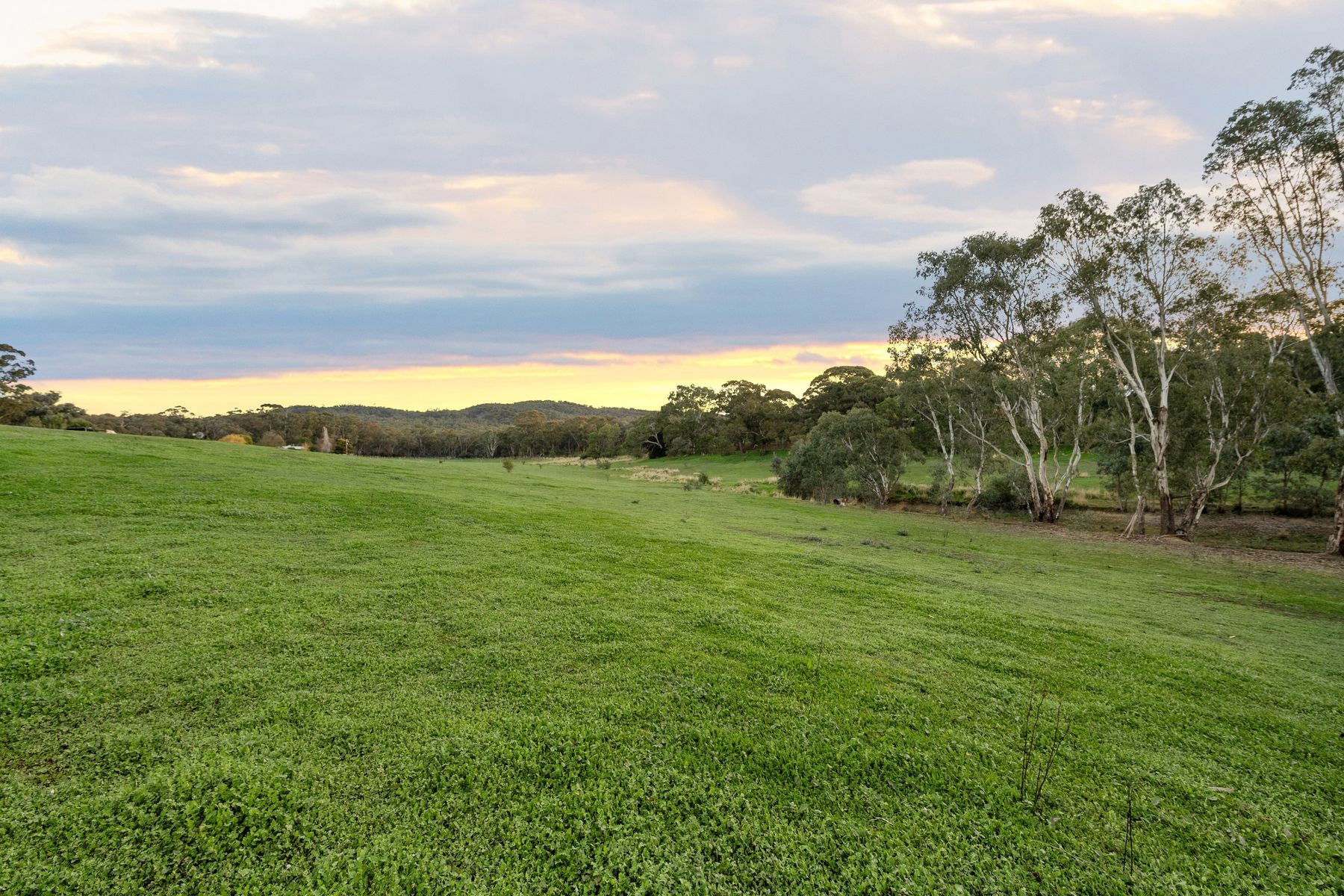 LOT 87/ 403 Mandurang South Road, Mandurang South For Sale by Farmbuy.com - image 4