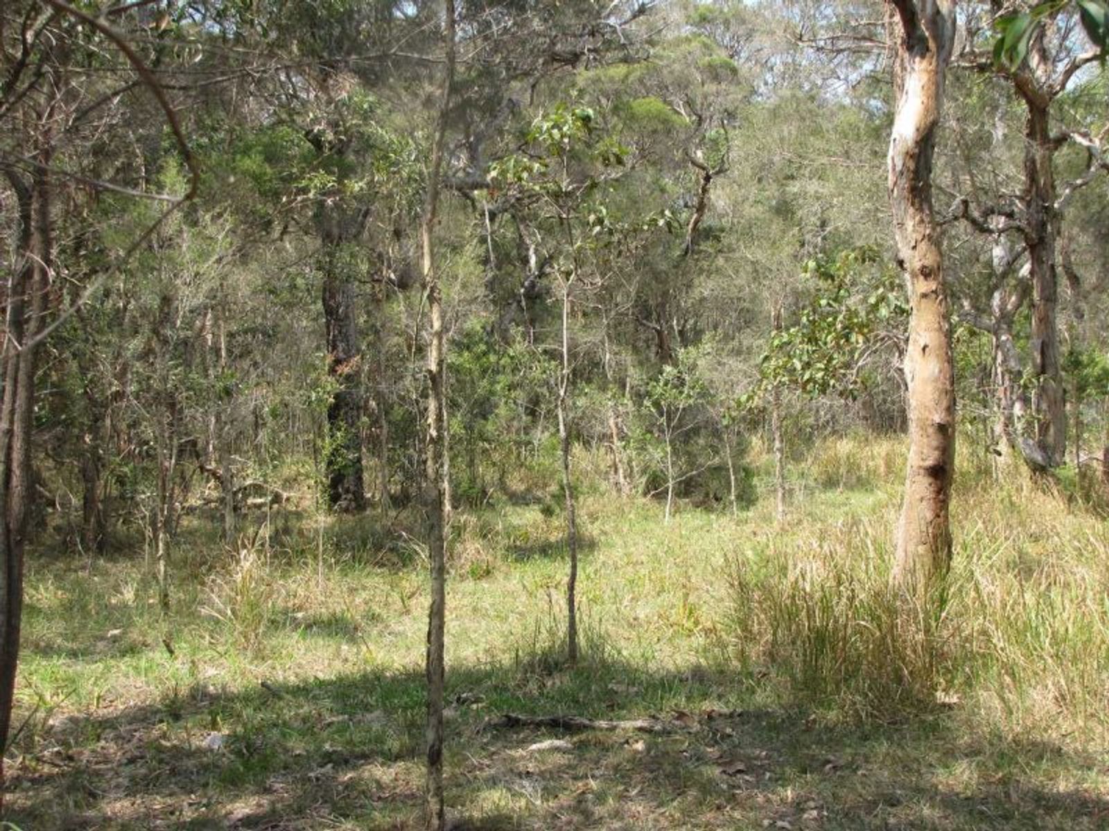 Elliot Rd NSW 2469, Elliot Rd - Thumbnail 5
