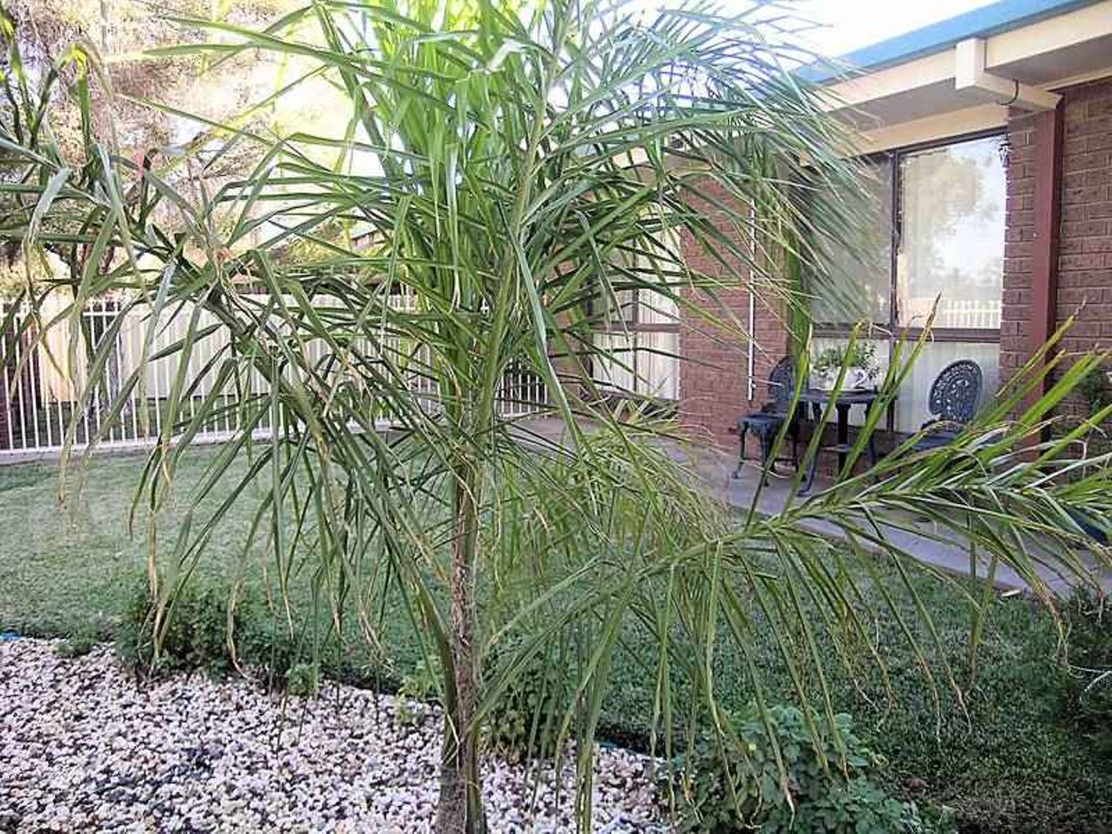 1-4,235 Deakin Avenue, Mildura - Thumbnail 3