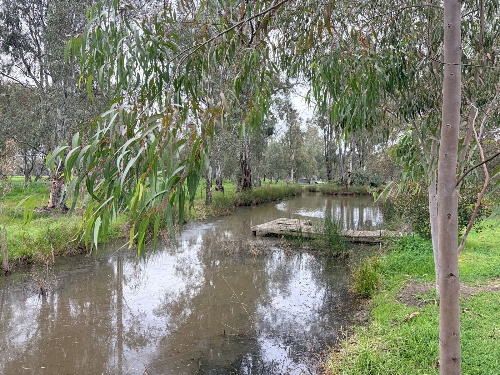 465 East Barham Road, Barham - Image 1