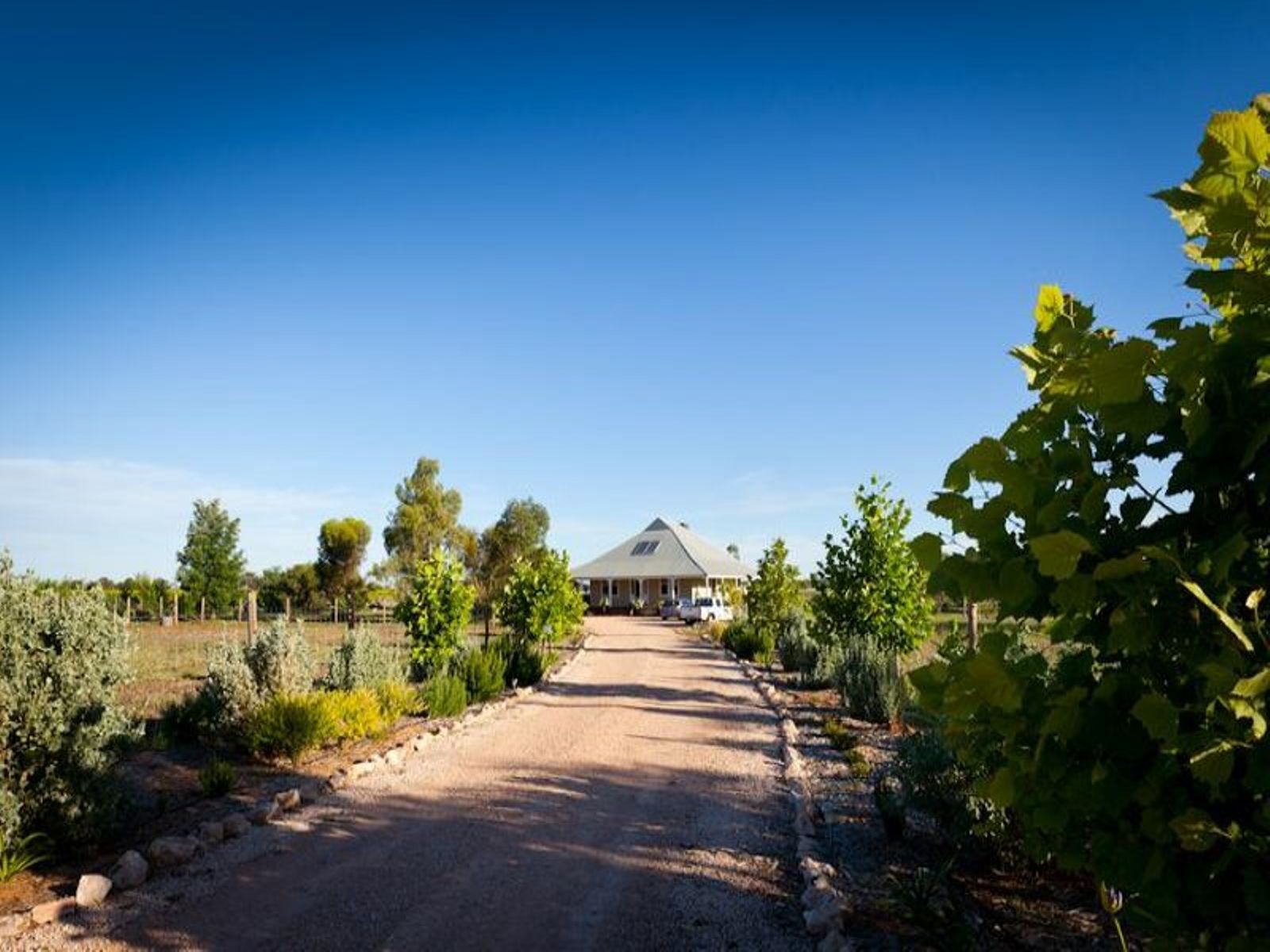 3502 San Mateo Avenue, Mildura - Thumbnail 2