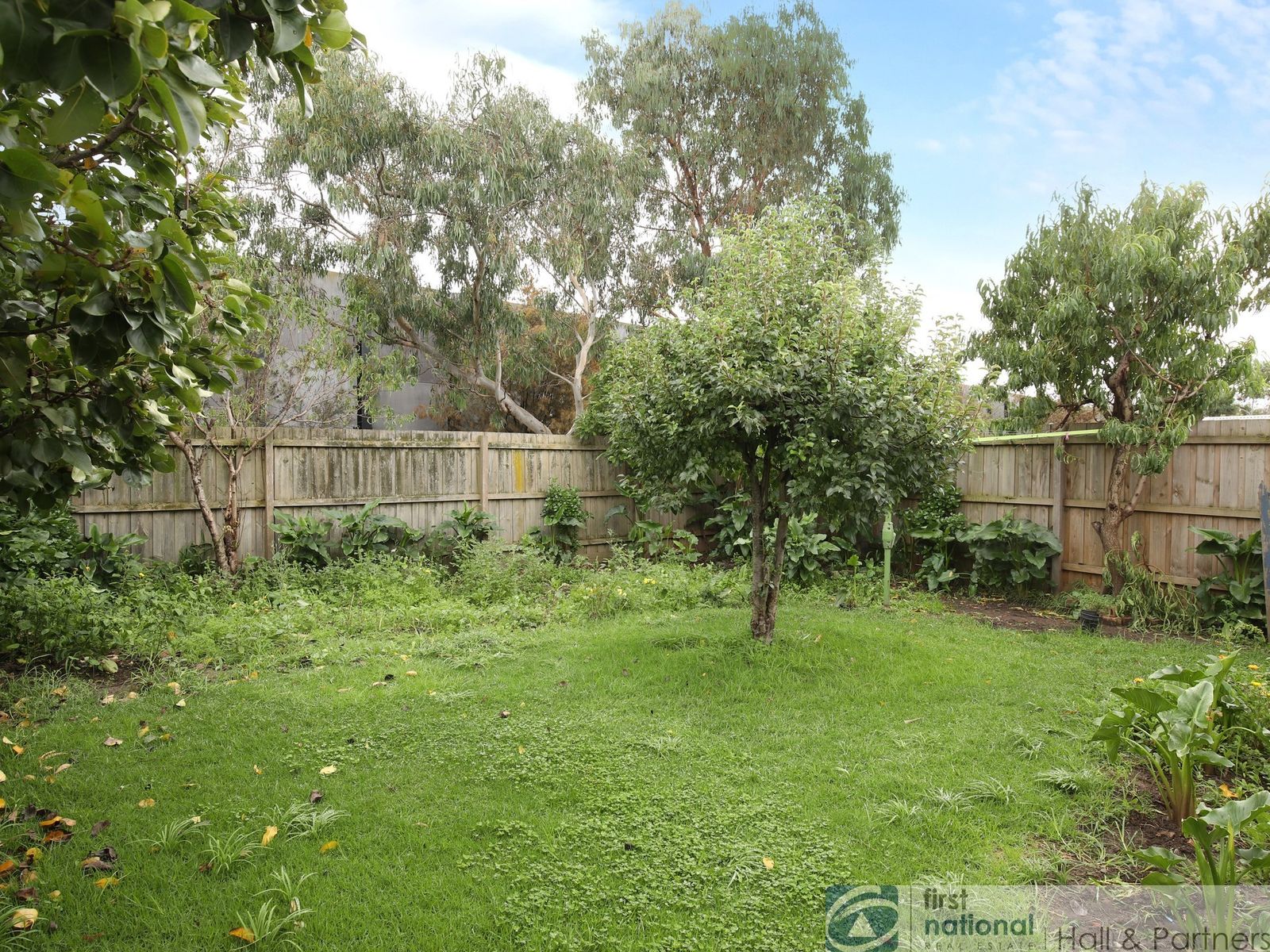 26 Darwin Street, Dandenong North VIC 3175, Dandenong North - Thumbnail 6