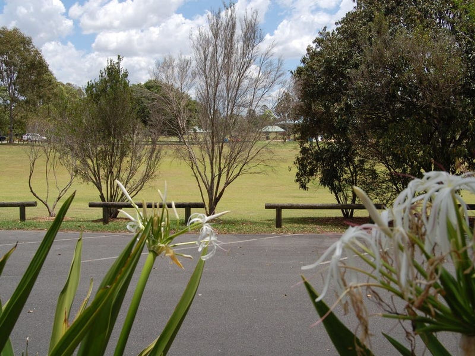 Lot Lot 7/22 Jean Street, Loganlea QLD 4131, Loganlea - Thumbnail 8