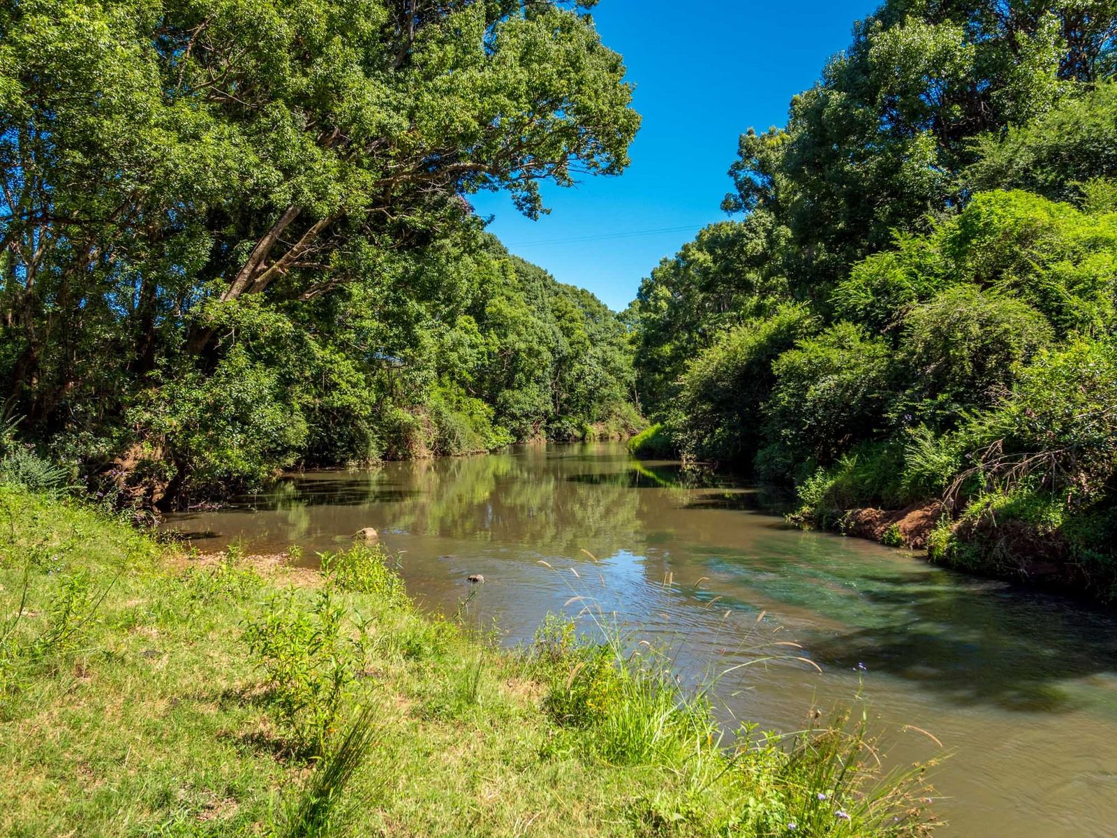 498 Binna Burra Rd, Federal - Thumbnail 6