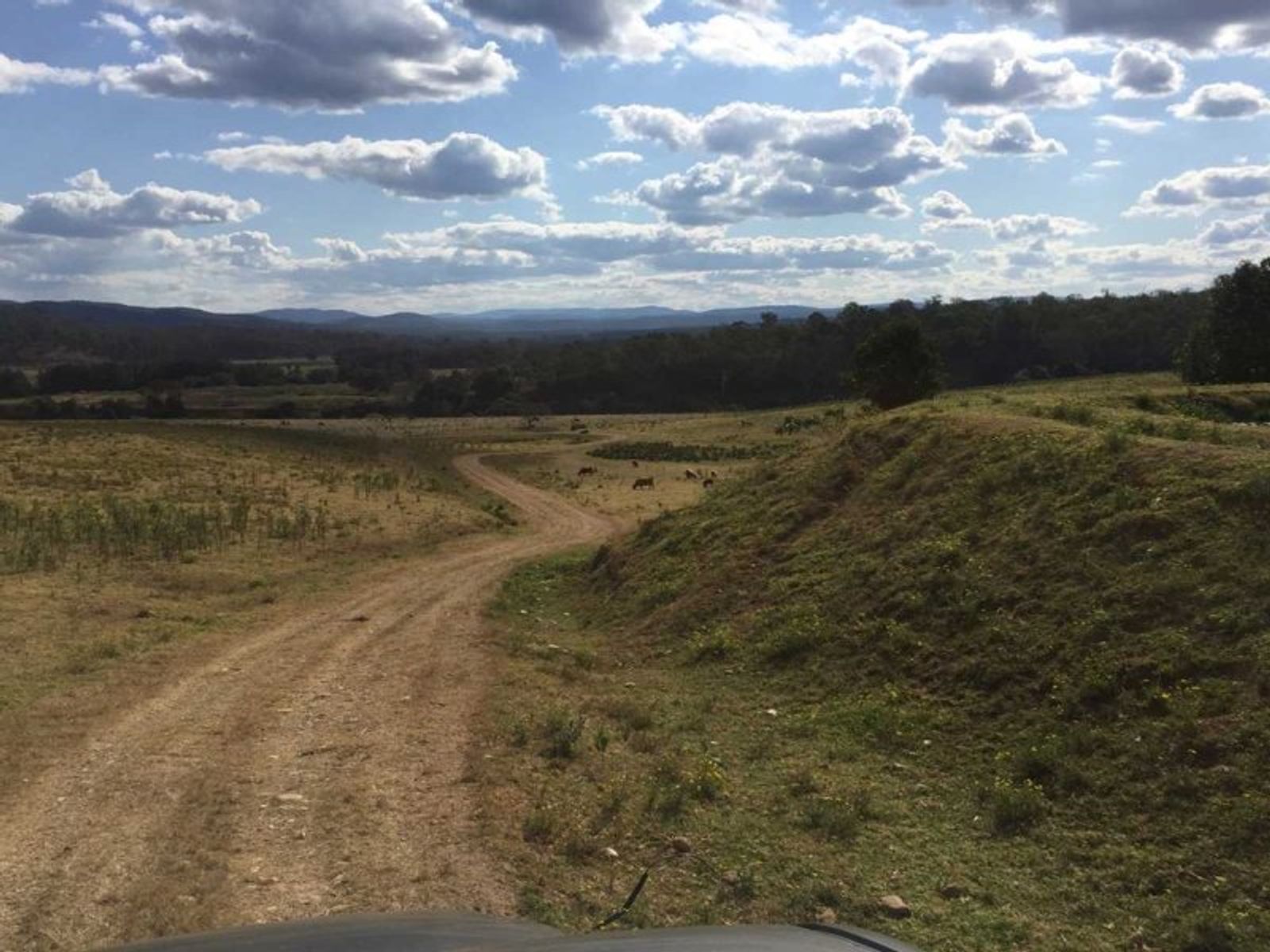 968 Lots 1 & 46 Tabulam Rd-Jackson Flat Road, Tabulam - Thumbnail 6