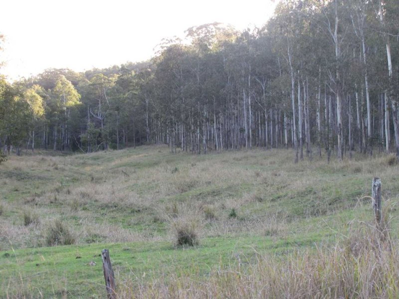 Saye Dunns Road, Doubtful Creek - Thumbnail 5