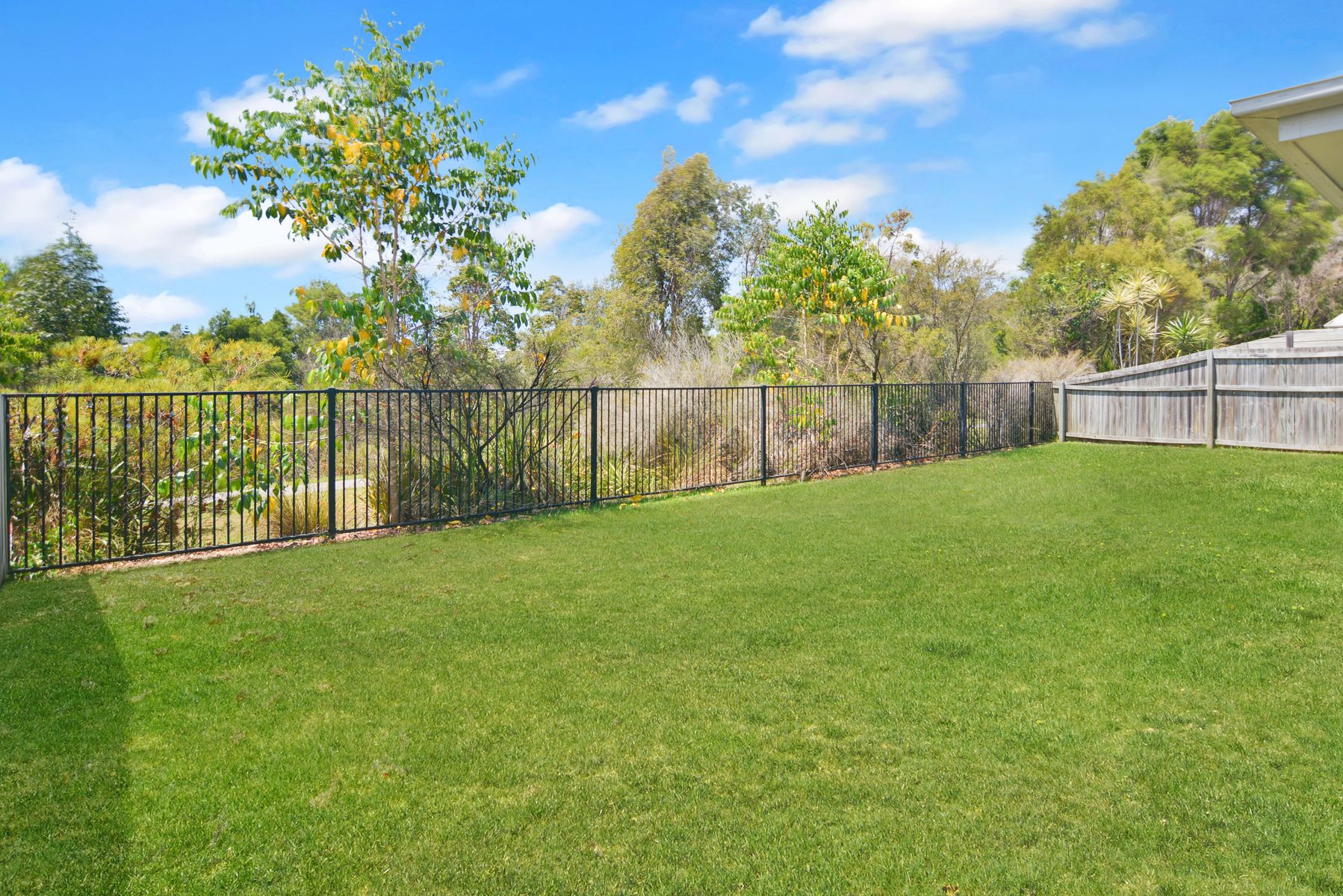 31 Honeyeater Place, Bli Bli QLD 4560, Bli Bli - Thumbnail 2