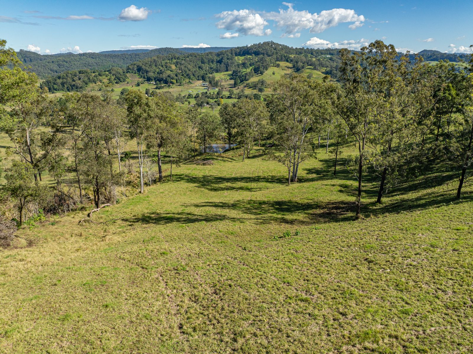 DJI 0216