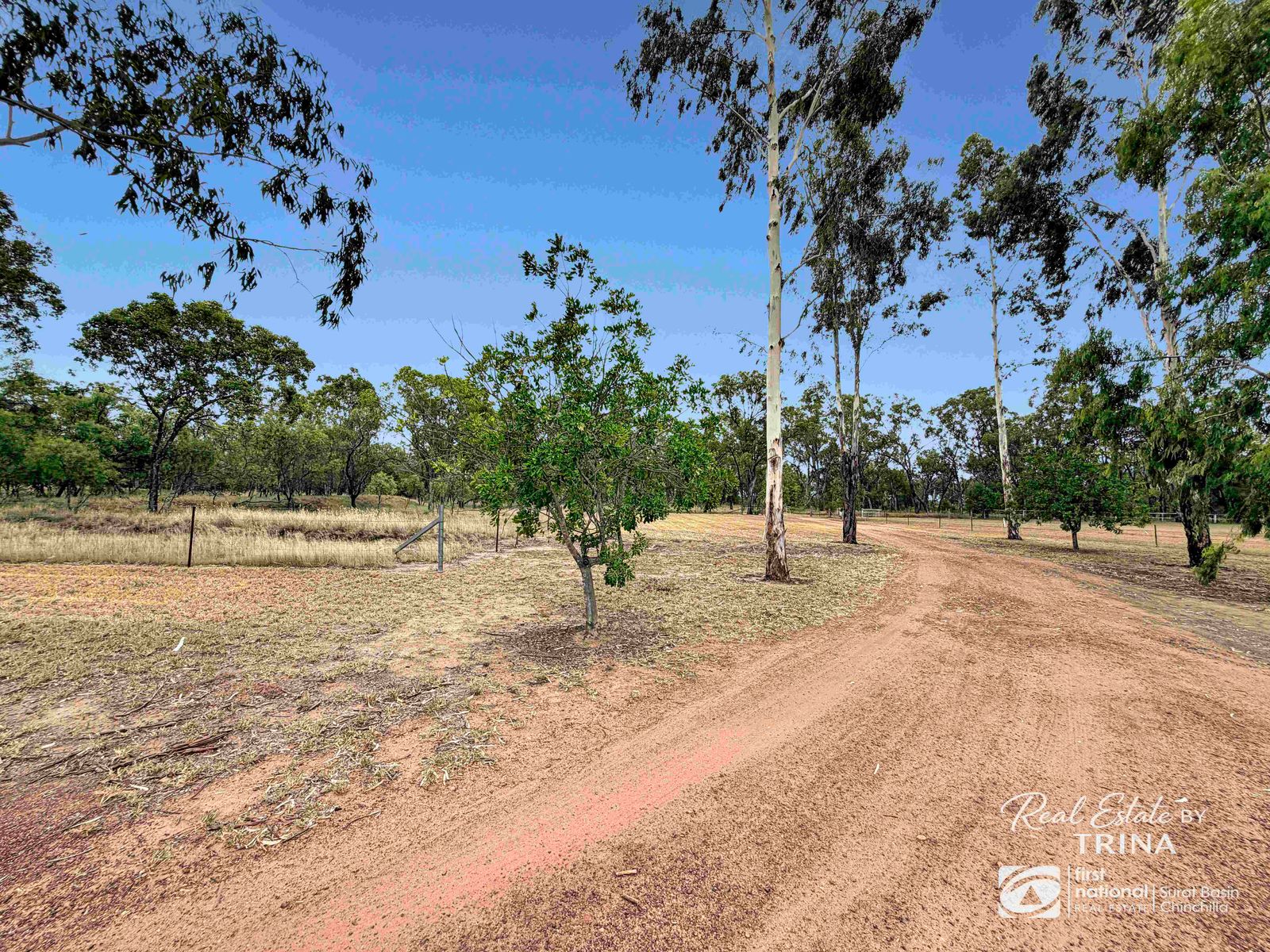 419 Chinchila Tara Road, Chinchilla QLD 4413, Chinchilla - Thumbnail 2