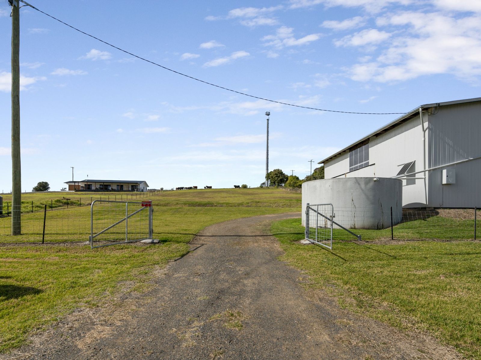 19 Rose Street, Killarney - Thumbnail 4