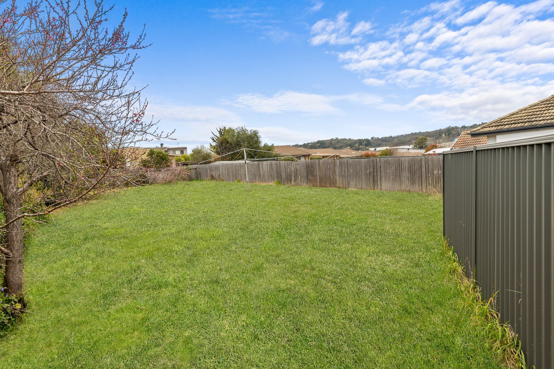 16 & 18 Waterloo Street, Queanbeyan - Thumbnail 4