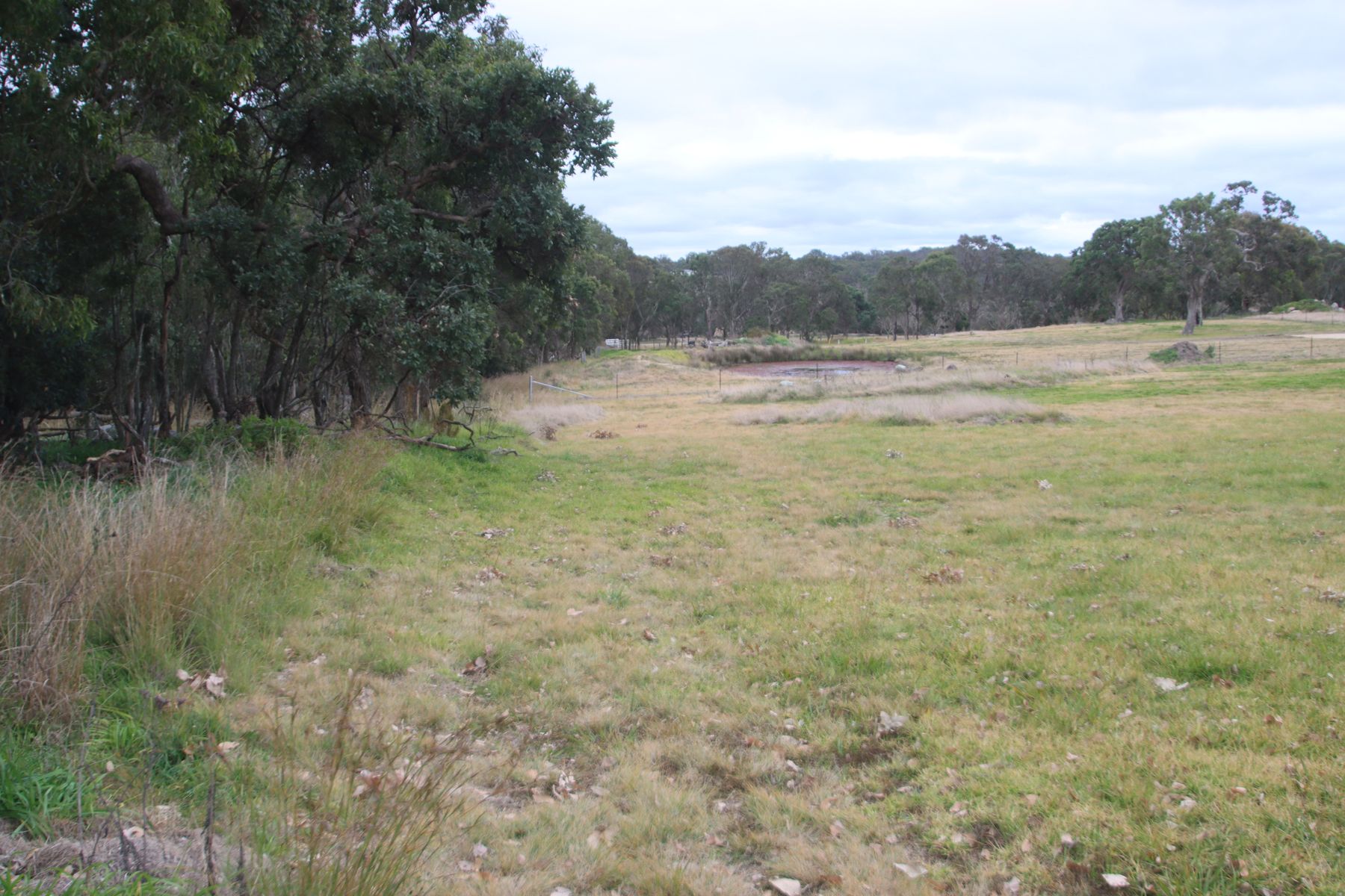 148B Sunnyside Loop Road, Tenterfield NSW 2372, Tenterfield - Thumbnail 2