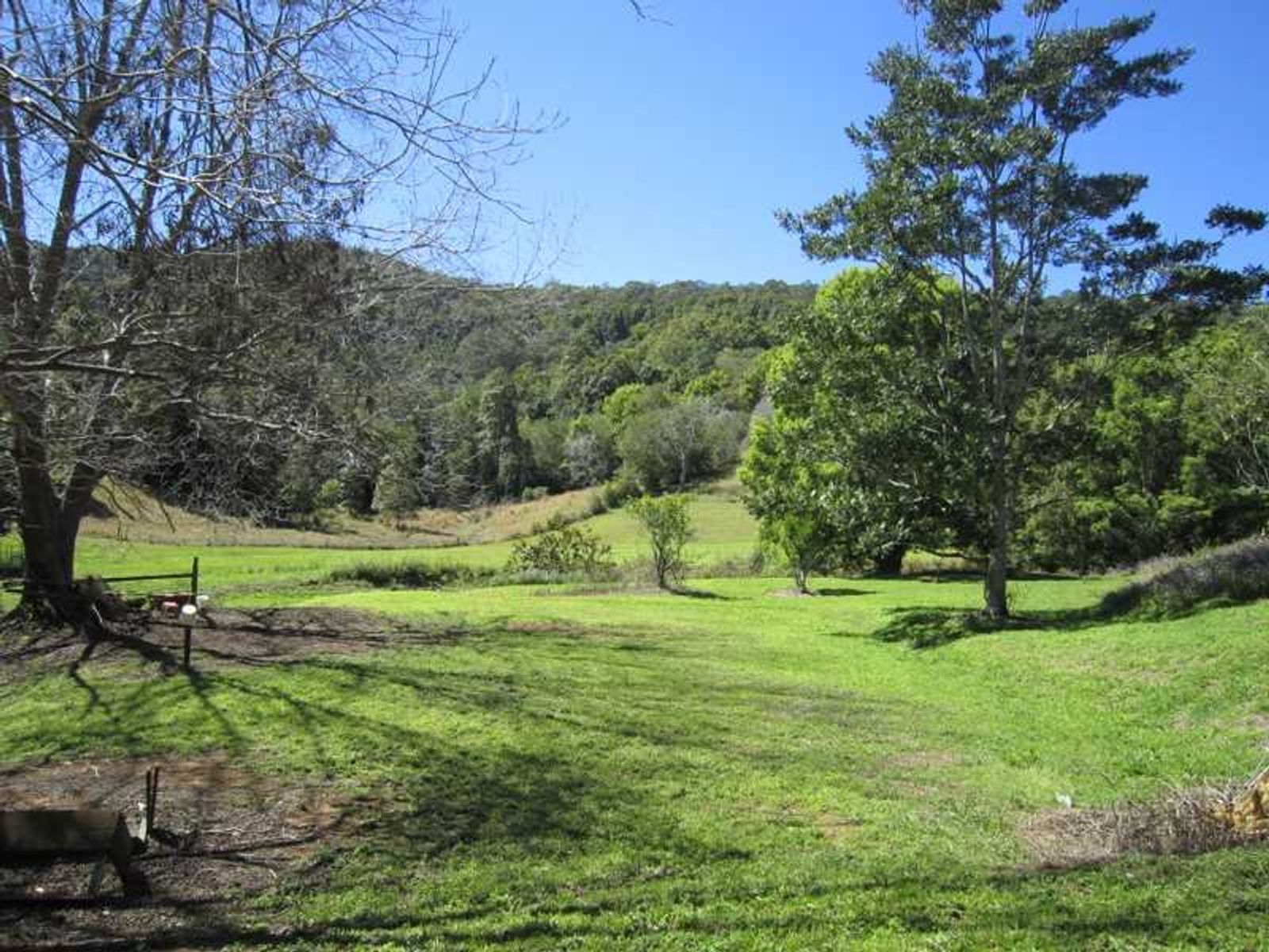 1468 Numinbah Road, Chillingham - Thumbnail 4