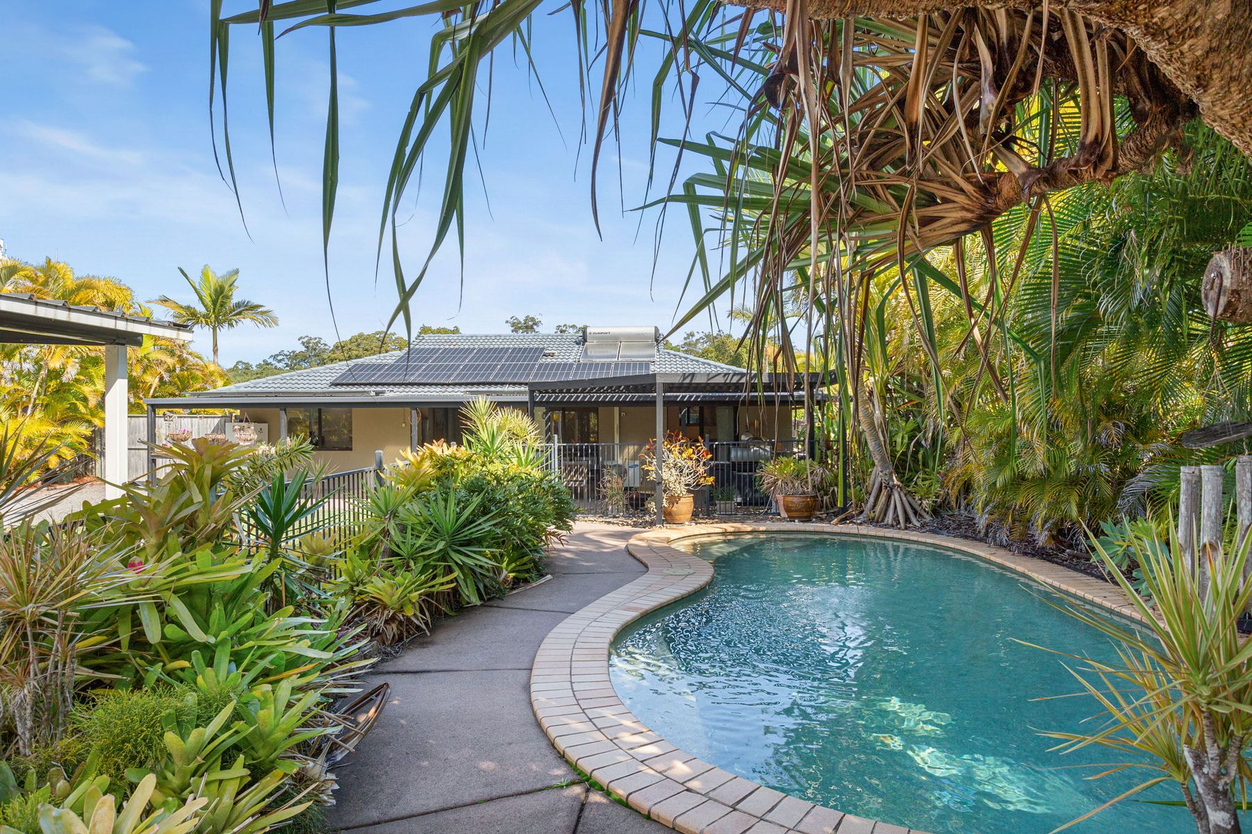 16 Bellflower Road, Sippy Downs QLD 4556, Sippy Downs - Thumbnail 5