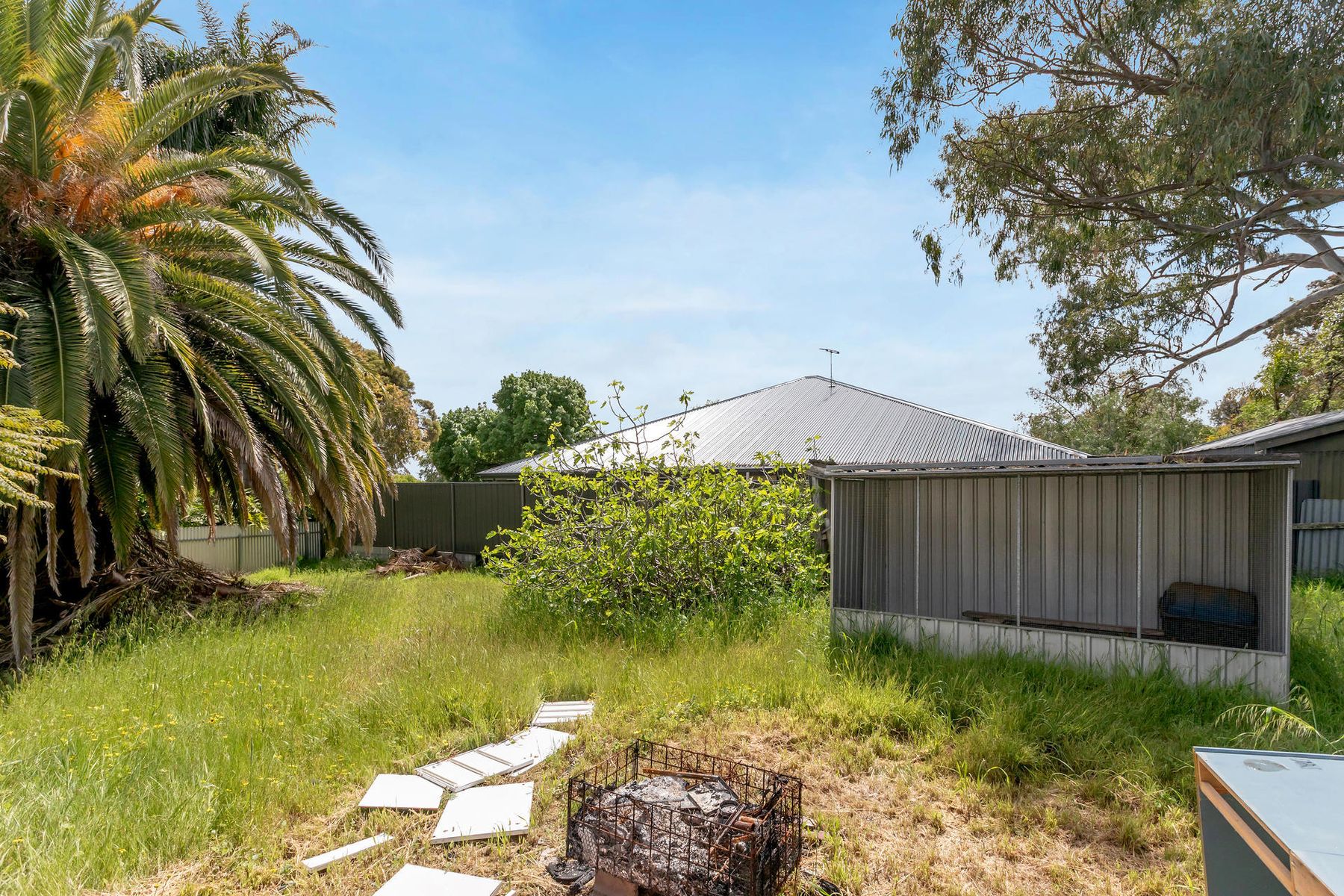 15 William Street, Tea Tree Gully SA 5091, Tea Tree Gully - Thumbnail 4