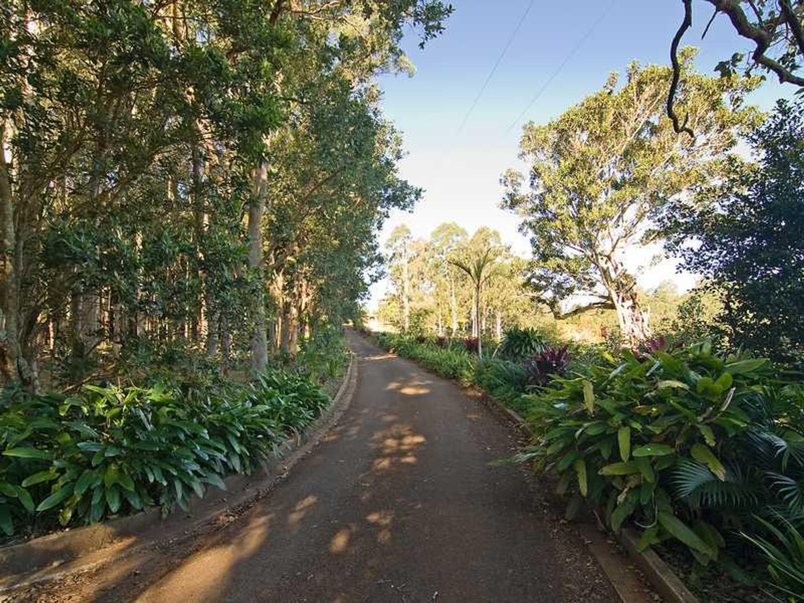 851 Bangalow Road, Bangalow - Thumbnail 4