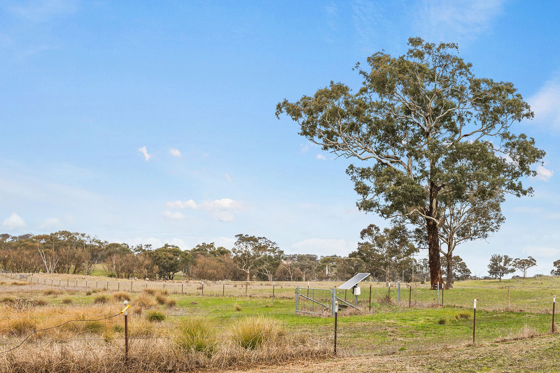 Yass NSW 2582, Yass - Thumbnail 8
