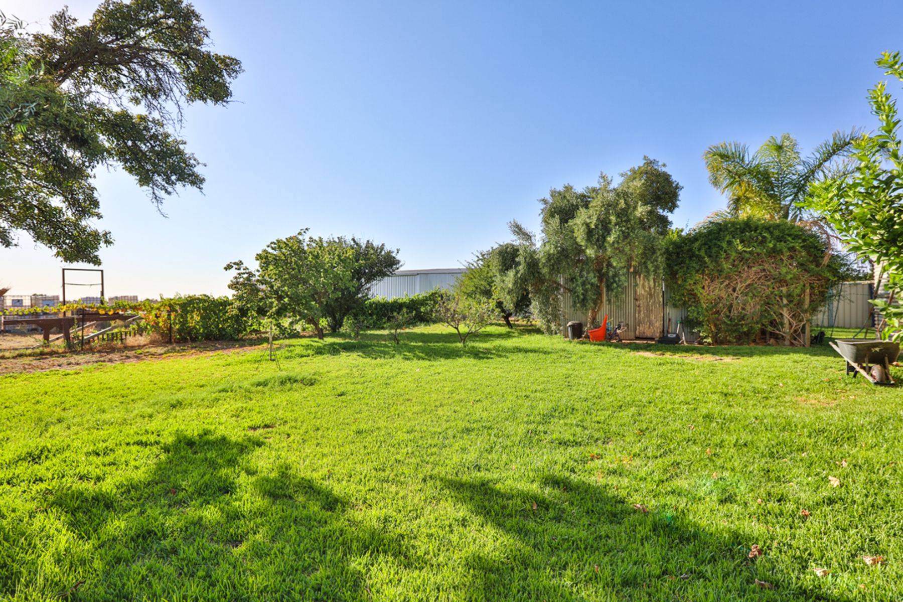 171 Ash Avenue, Koorlong - Thumbnail 2
