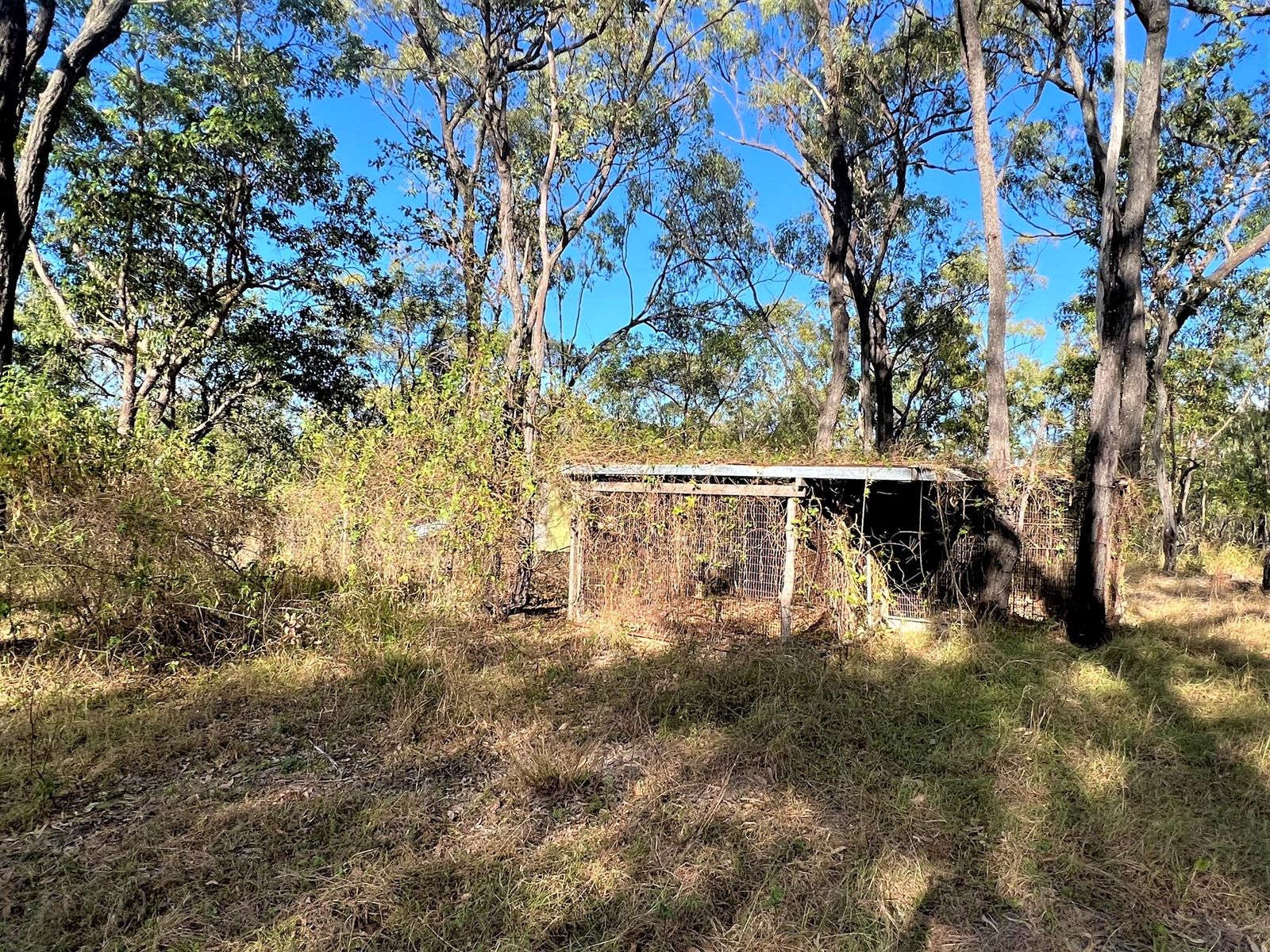 36 Flaggy Rock Road, Clairview QLD 4741, Clairview - Thumbnail 7