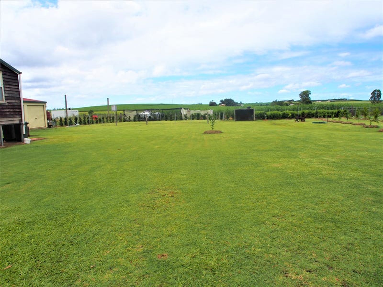 124 Station Road, Horton QLD 4660, Horton - Thumbnail 6