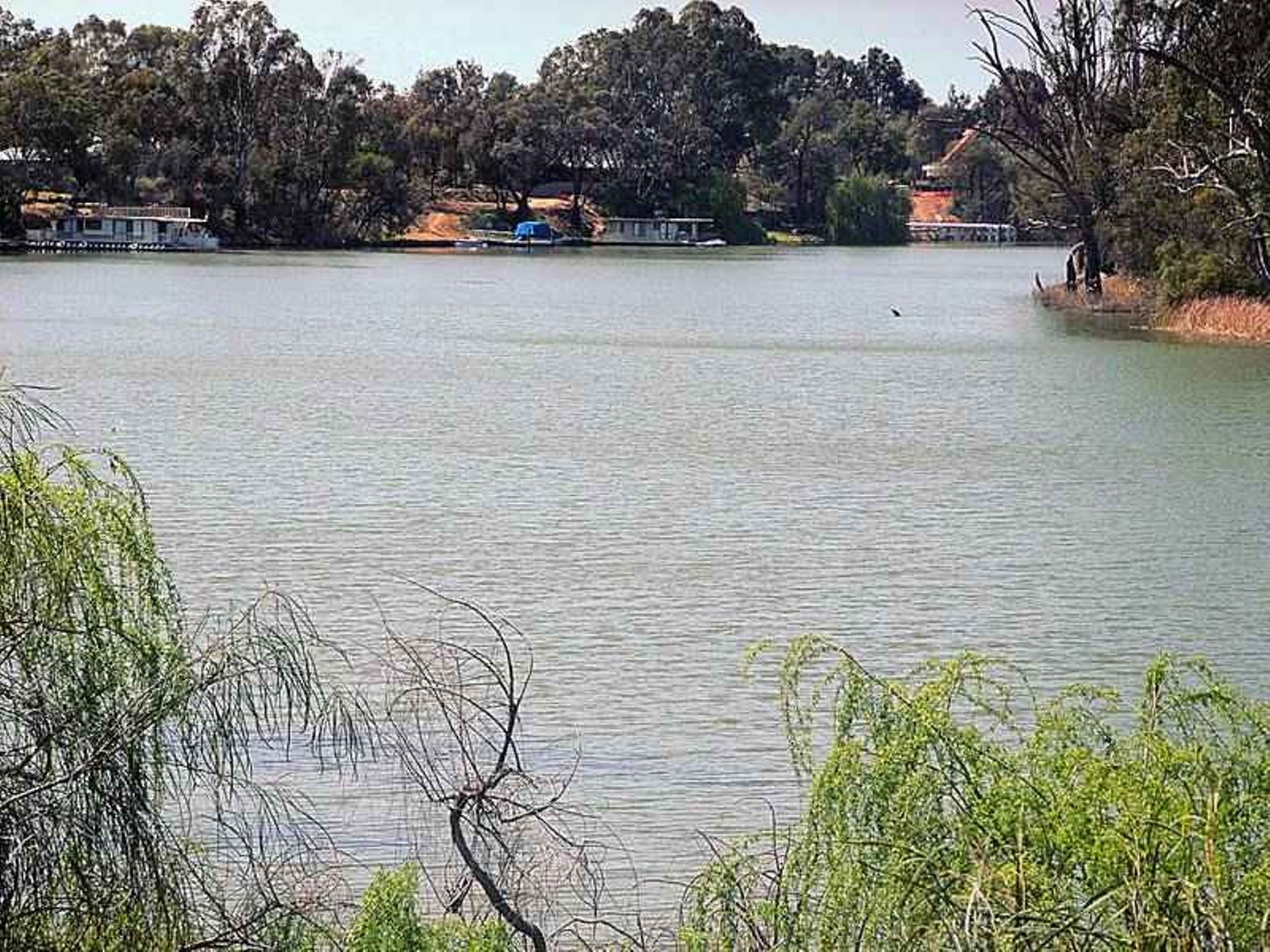 24 River Drive, Buronga - Thumbnail 4