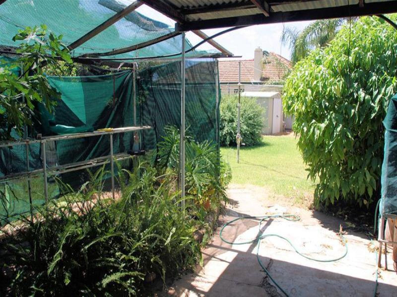 236 Seventh Street, Mildura - Thumbnail 8