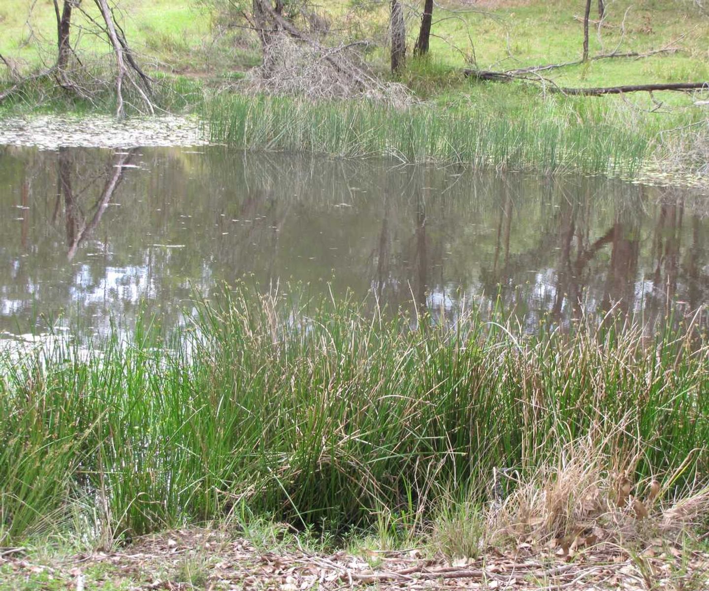 Rogarra Clarence Way, Bottle Creek - Thumbnail 7
