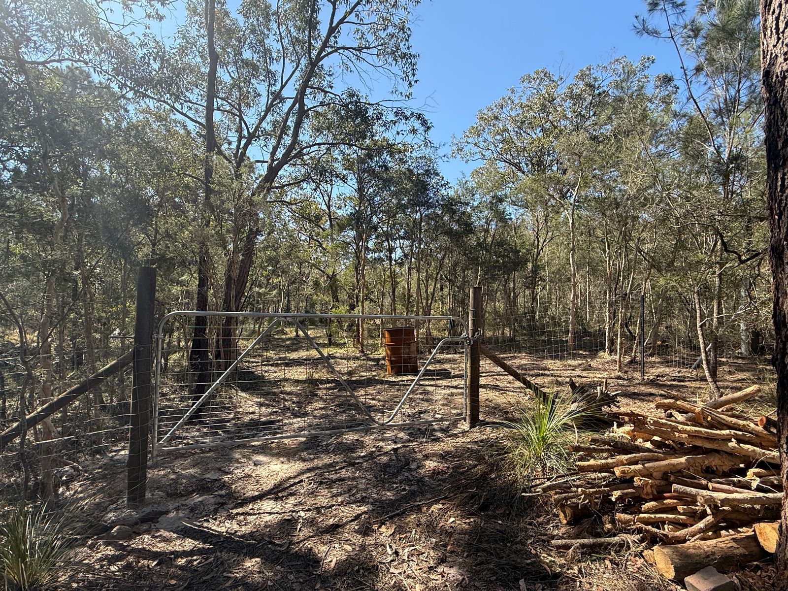 37 Cove Avenue, Bundabah NSW 2324, Bundabah - Thumbnail 6
