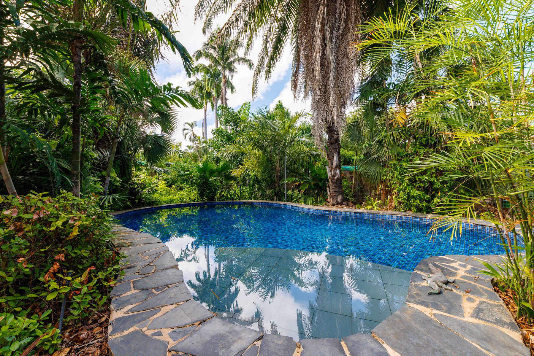 20 Phoenix Street, Nightcliff NT 0810, Nightcliff - Thumbnail 5