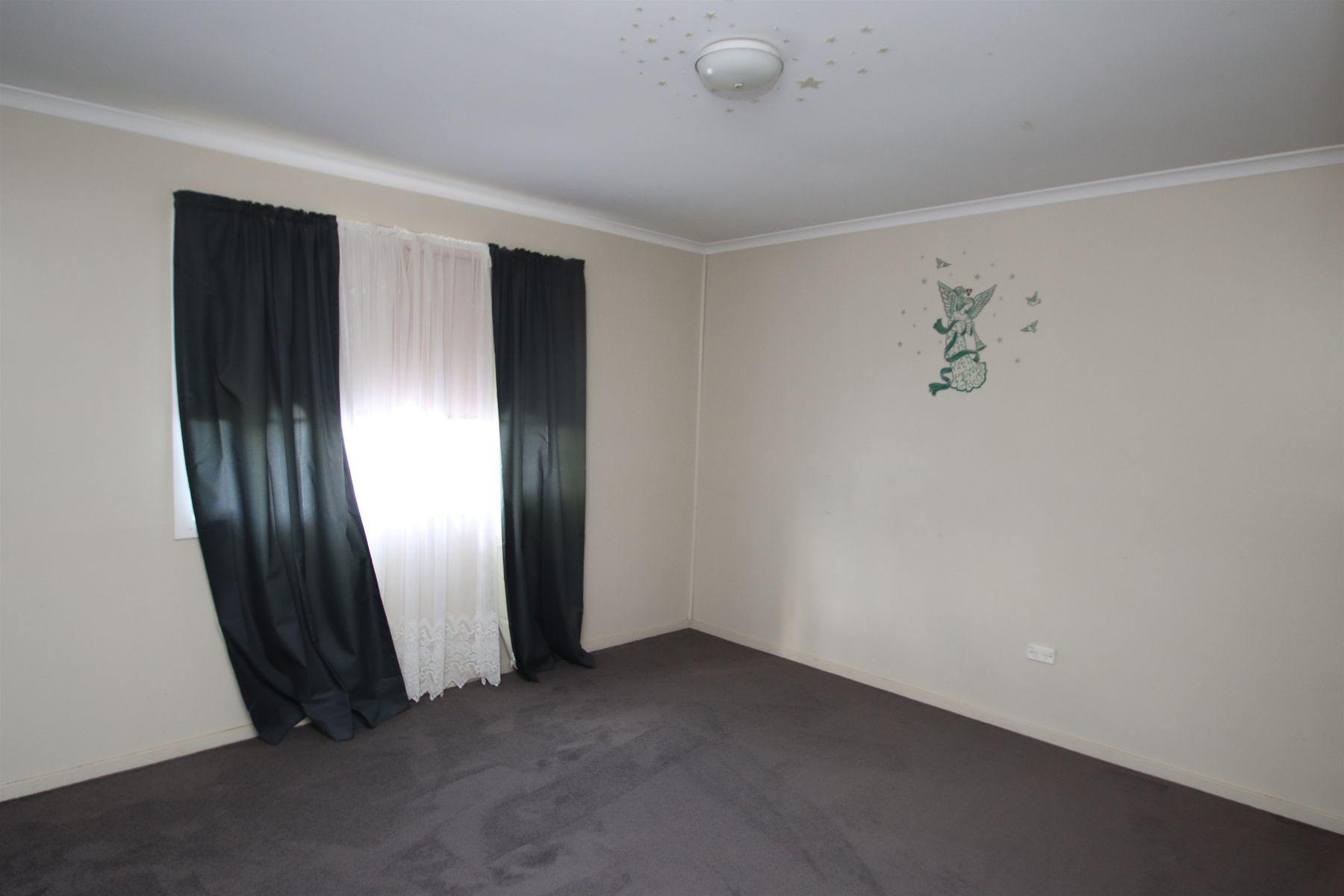 31 High Street, Tenterfield NSW 2372, Tenterfield - Thumbnail 7