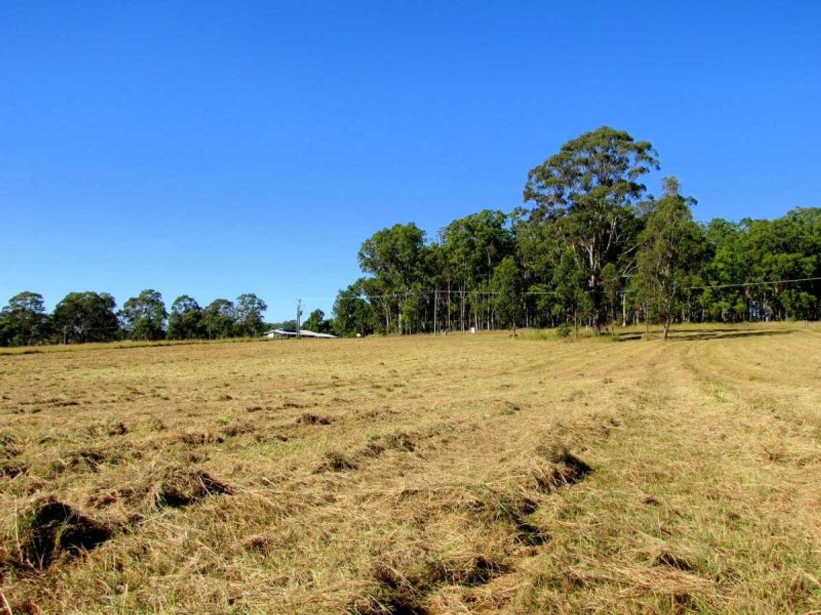 12 Penneyfather Close, Yorklea - Thumbnail 7