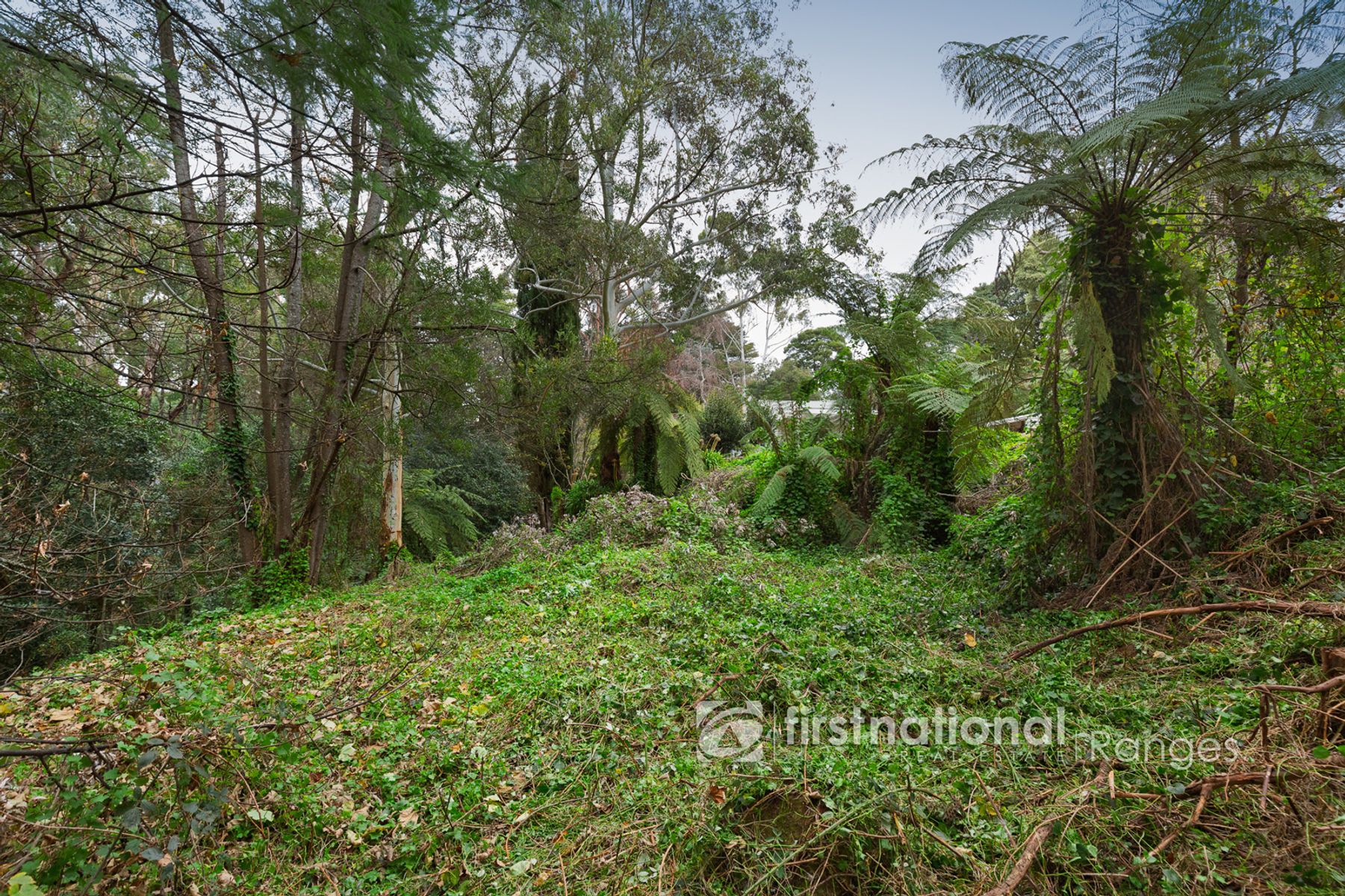 21-25 McAllister Road, Monbulk VIC 3793, Monbulk - Thumbnail 4