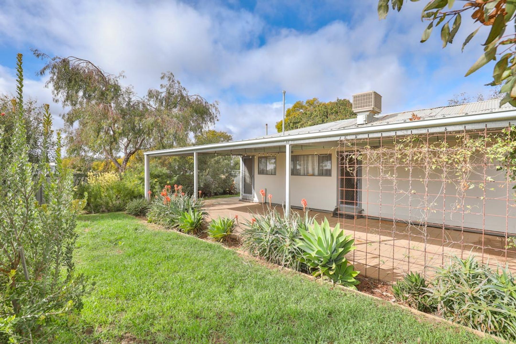 29 Pitman Avenue, Buronga - Thumbnail 3