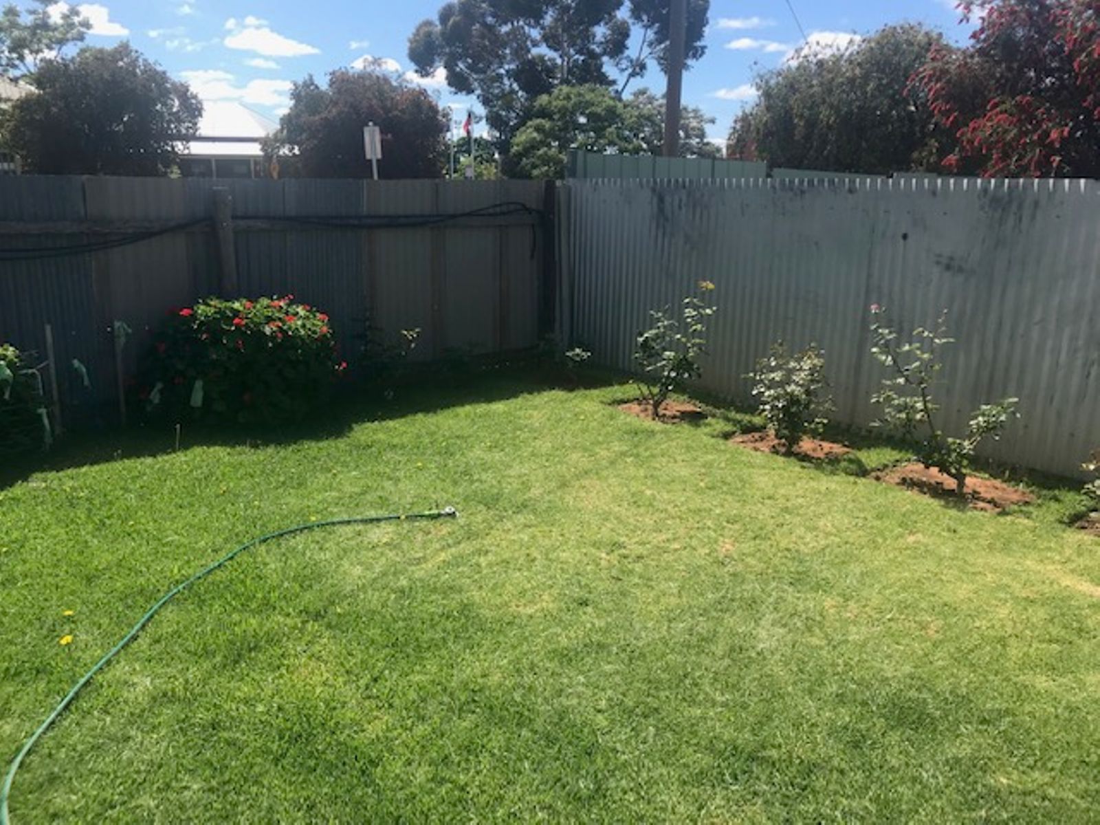 83 Twelfth Street, Mildura - Thumbnail 4
