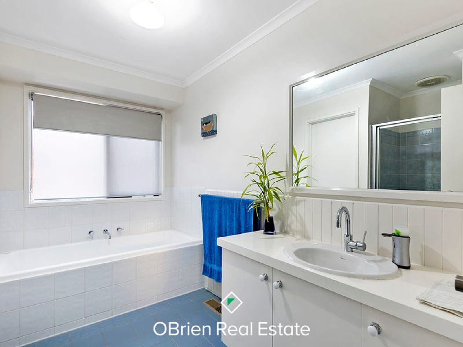 18 Struan Avenue, Endeavour Hills, VIC 3802, Endeavour Hills - Thumbnail 7