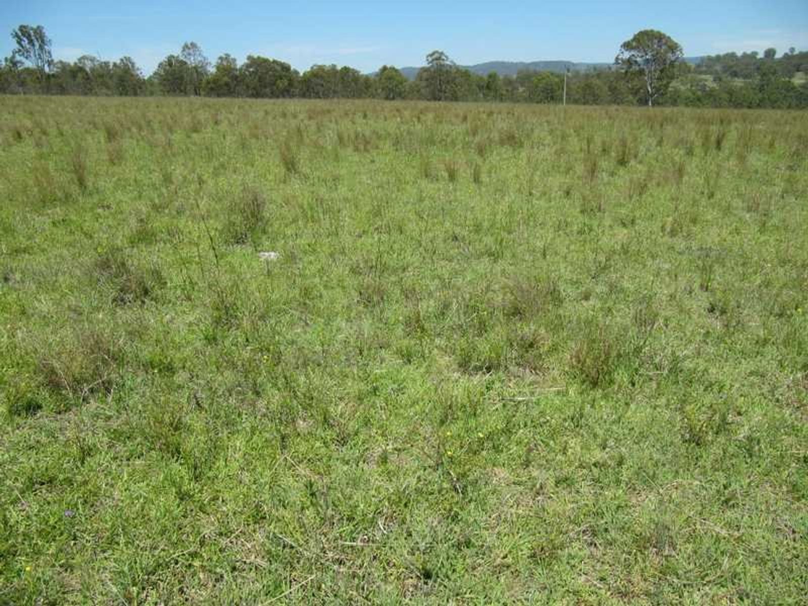 Patersons Road QLD 4373, Patersons Road - Thumbnail 6