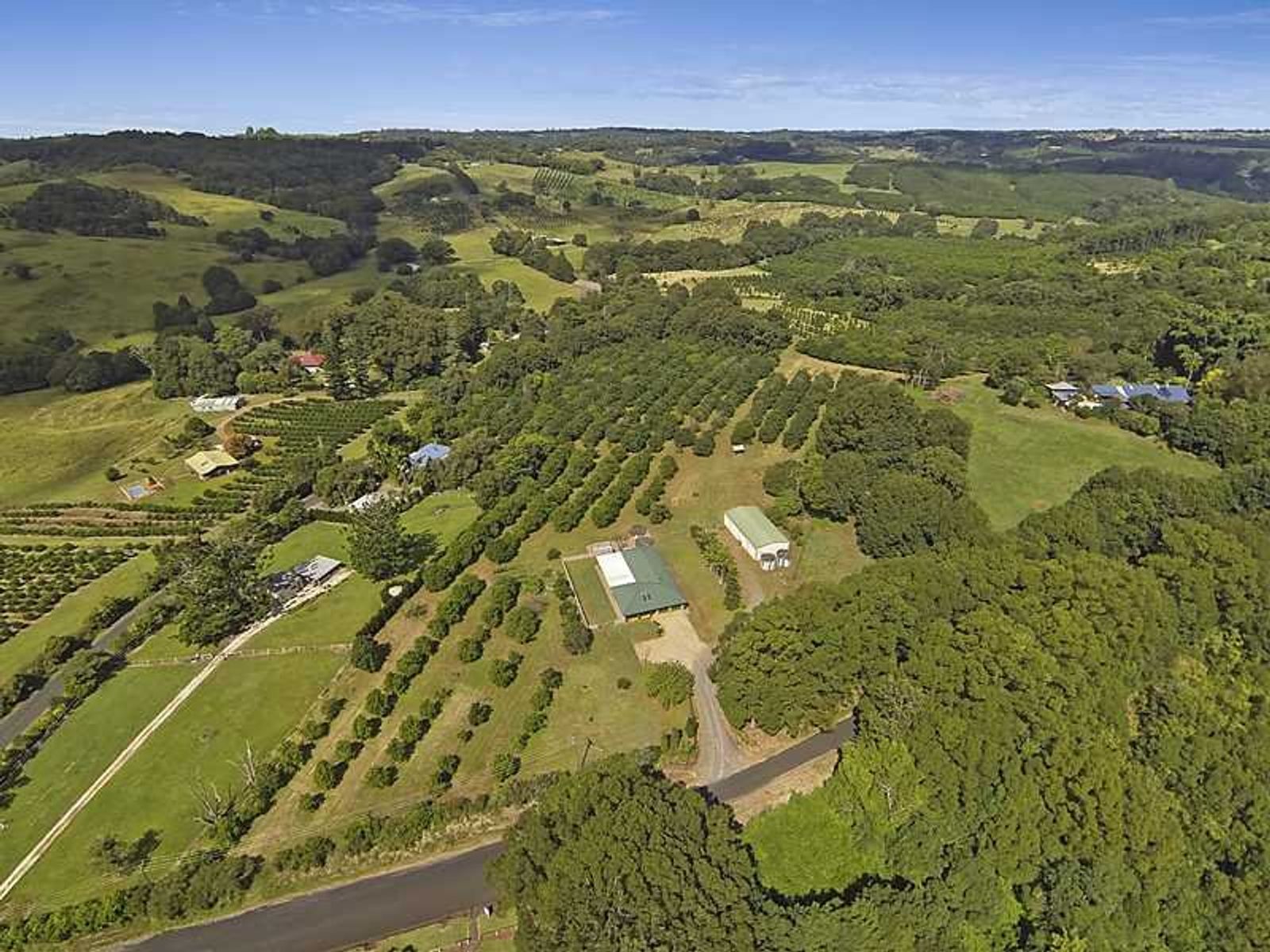 567 Humpty Back Road, Pearces Creek - Thumbnail 4