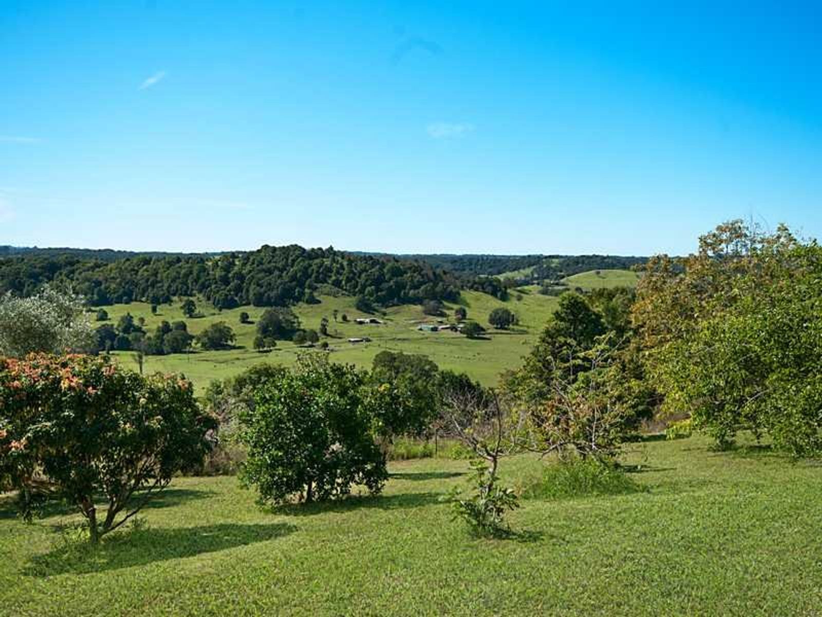 94 Hunters Hill Rd, Corndale - Thumbnail 7