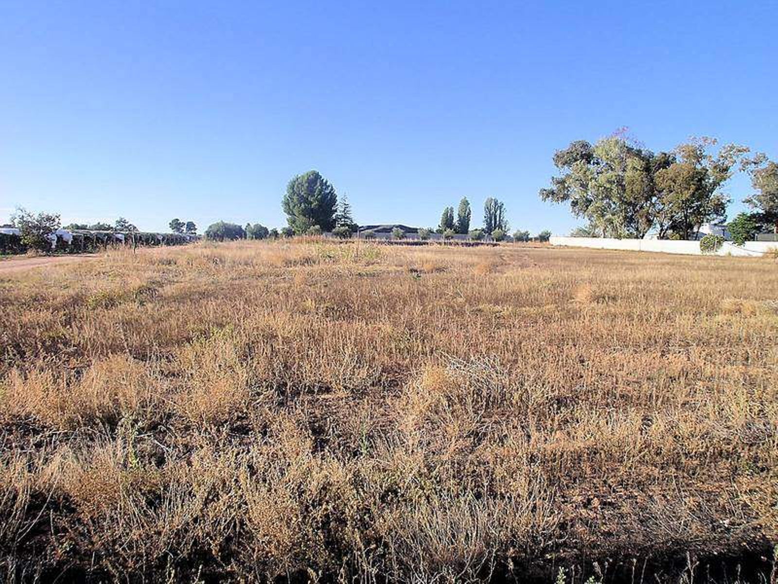 312-318 Cowra Avenue, Nichols Point - Thumbnail 3