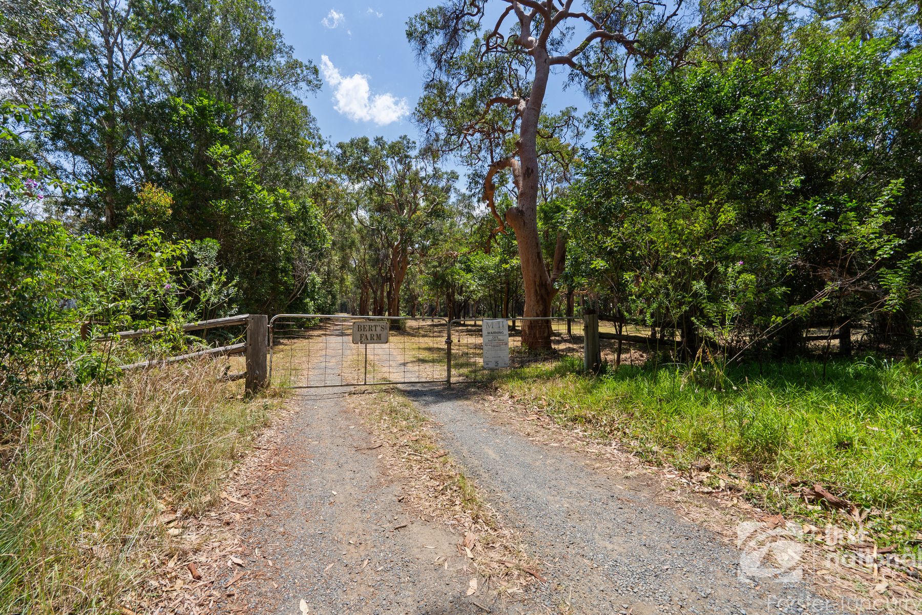 Lot 50 The Lakes Way, Forster NSW 2428, Forster - Thumbnail 4