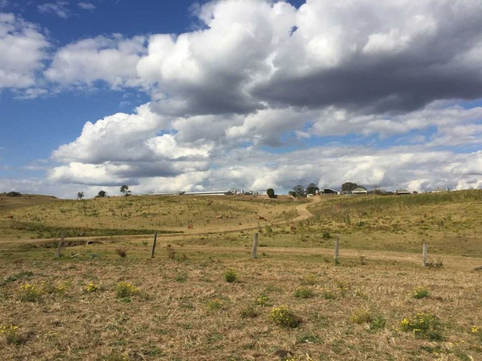 968 Lots 1 & 46 Tabulam Rd-Jackson Flat Road, Tabulam - Thumbnail 5