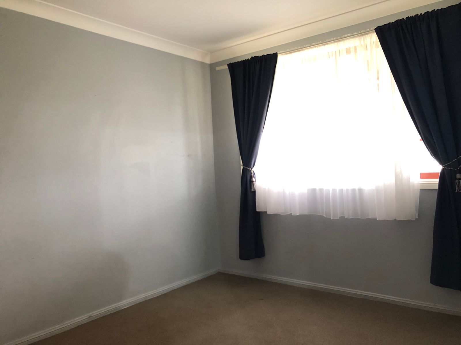 2 Brereton Street, Hillgrove NSW 2350, Hillgrove - Thumbnail 7