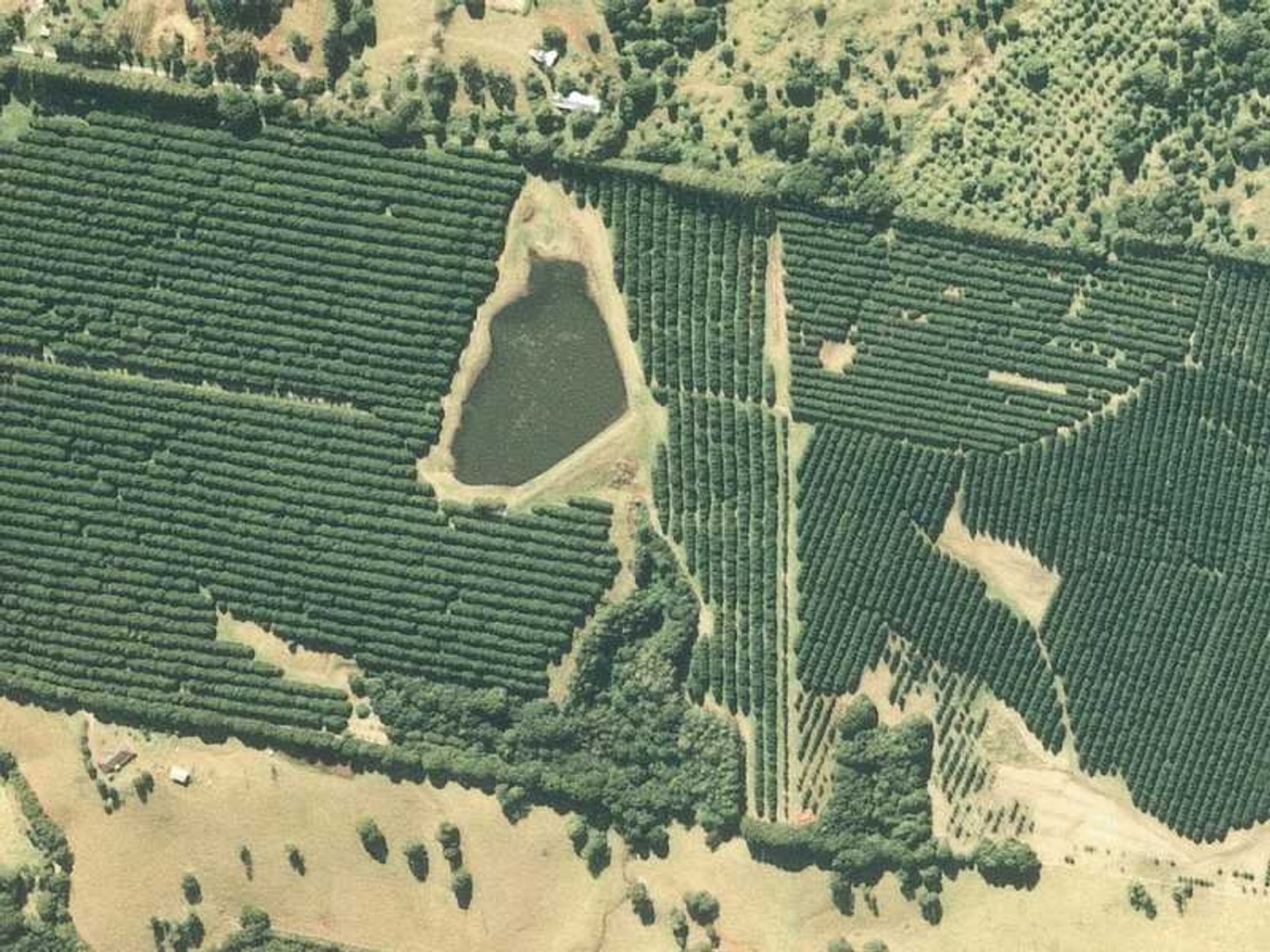 1594 Dunoon Road, Dunoon - Thumbnail 3