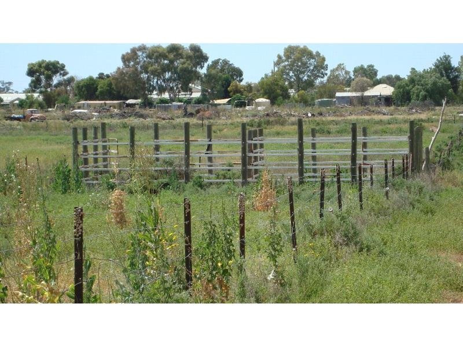 3550 San Mateo Avenue, Mildura - Thumbnail 6