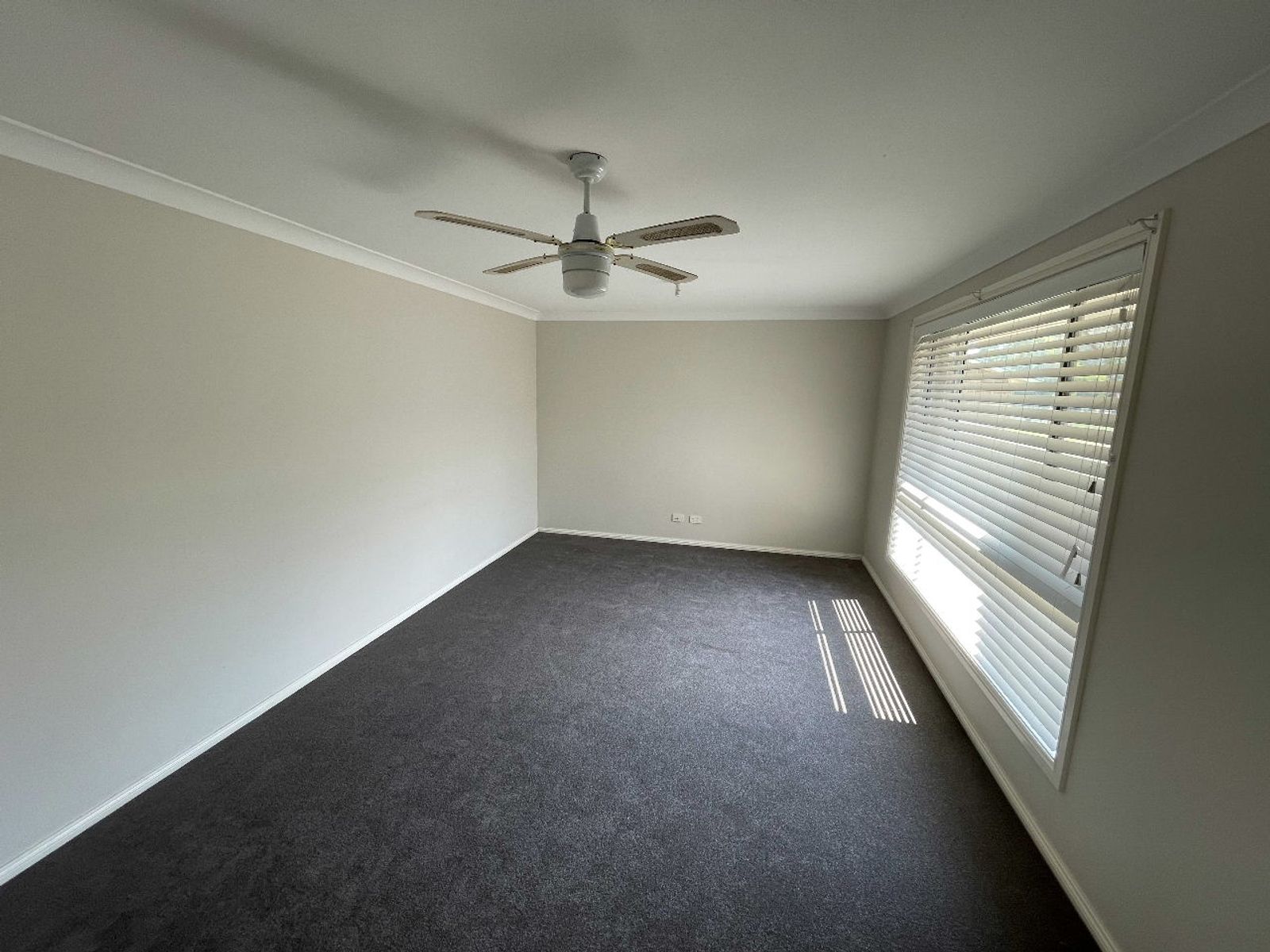 4 Paxton Street, Denman NSW 2328, Denman - Thumbnail 4